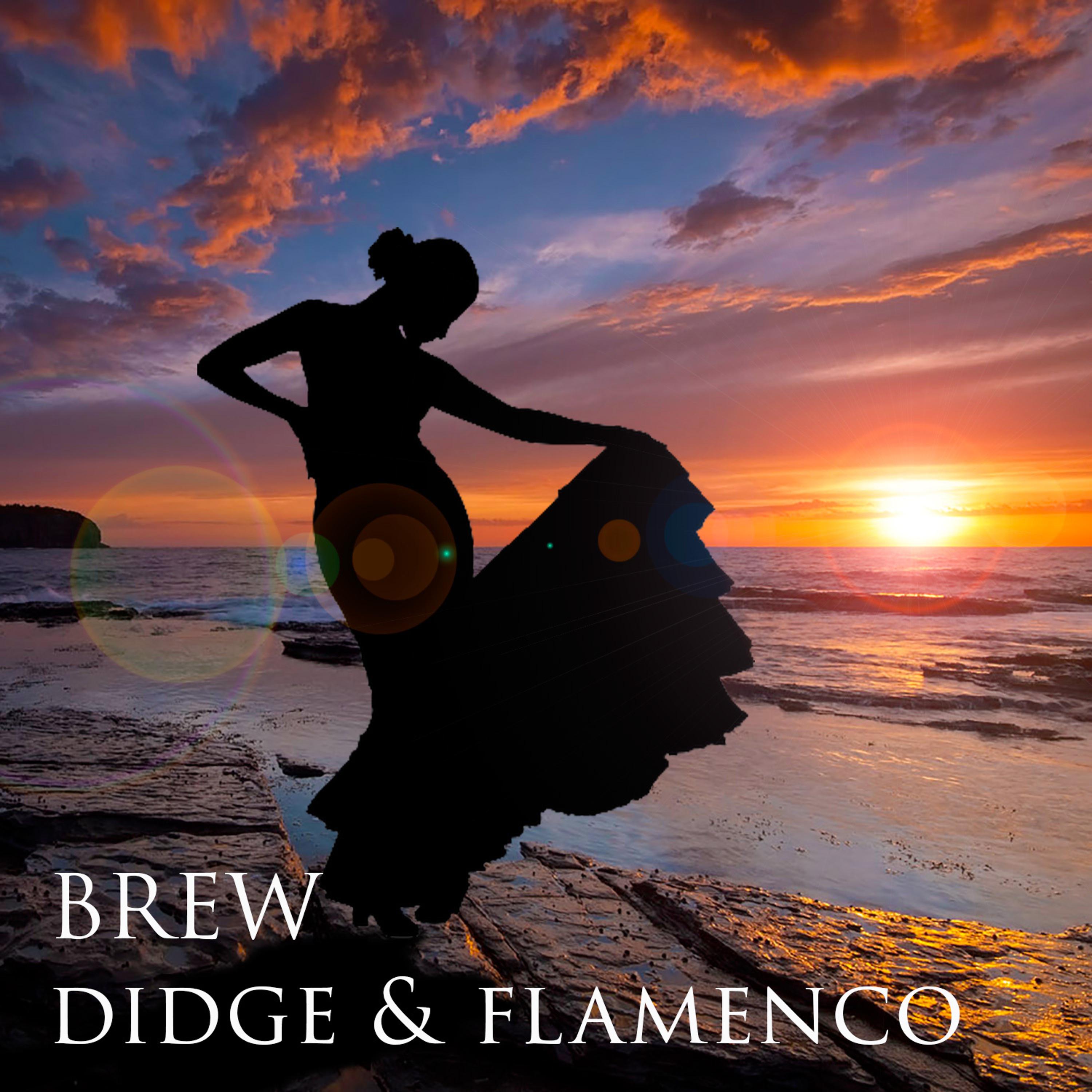 Постер альбома Brew Didge & Flamenco