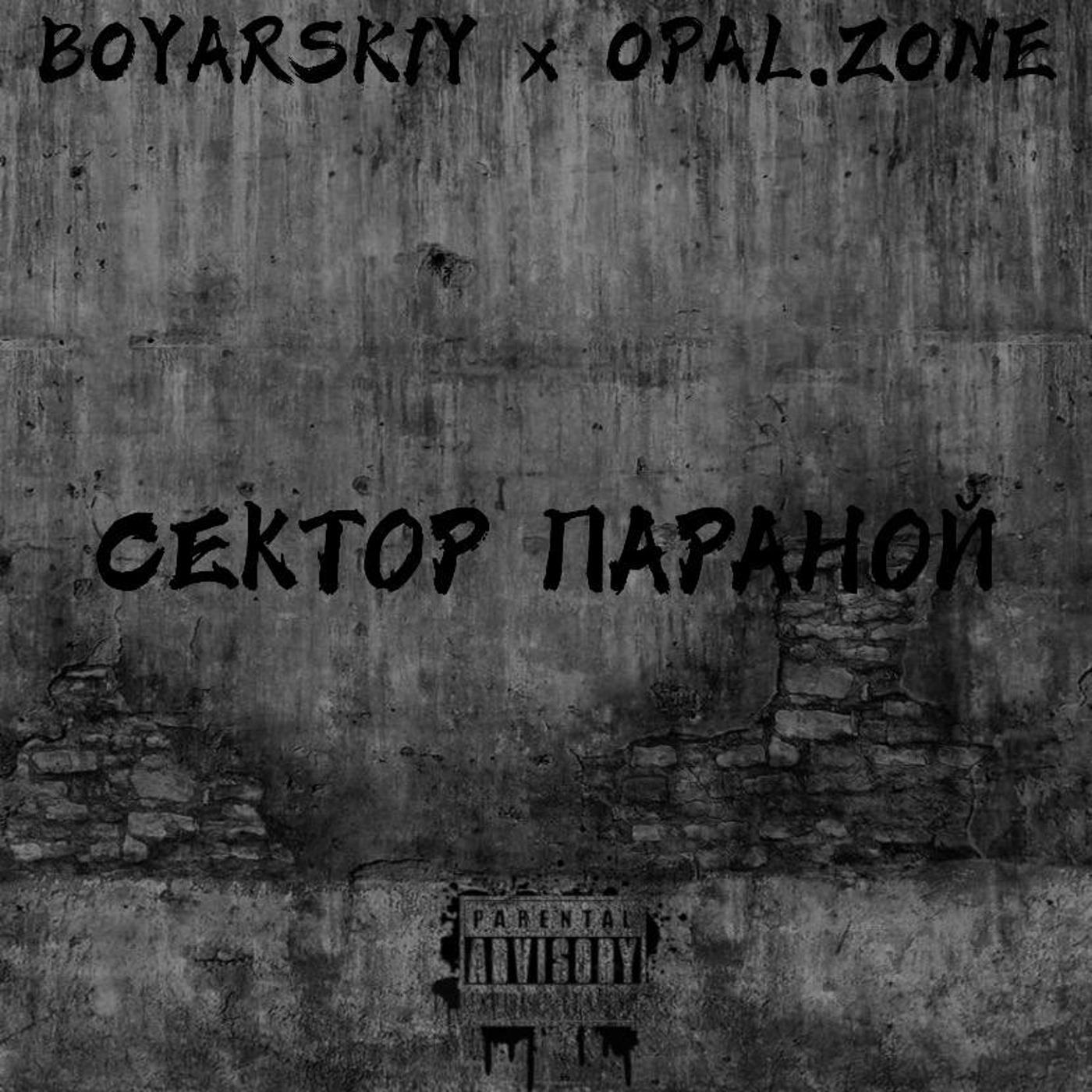 Постер альбома Сектор параной (feat. Opal.zone)