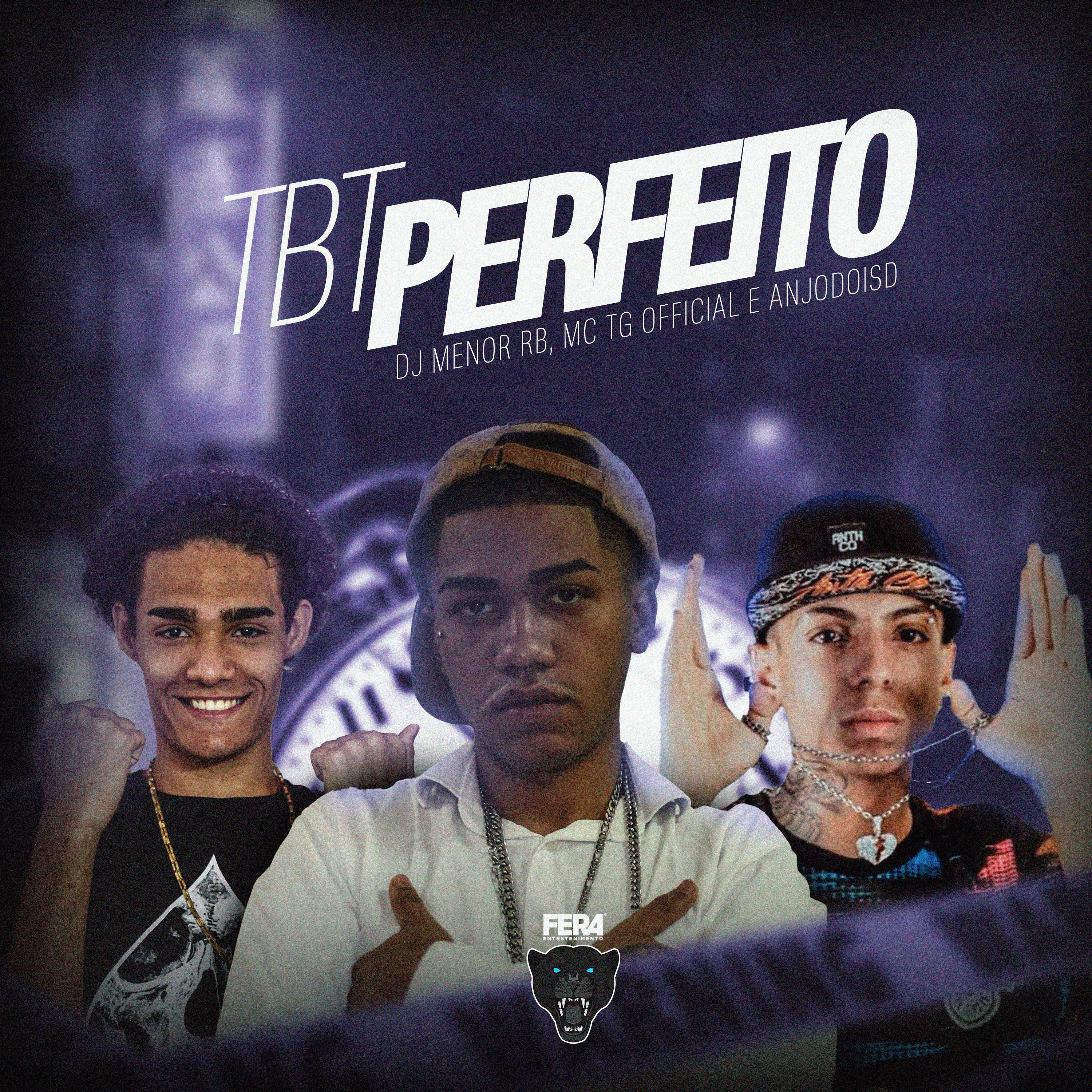 Постер альбома Tbt Perfeito
