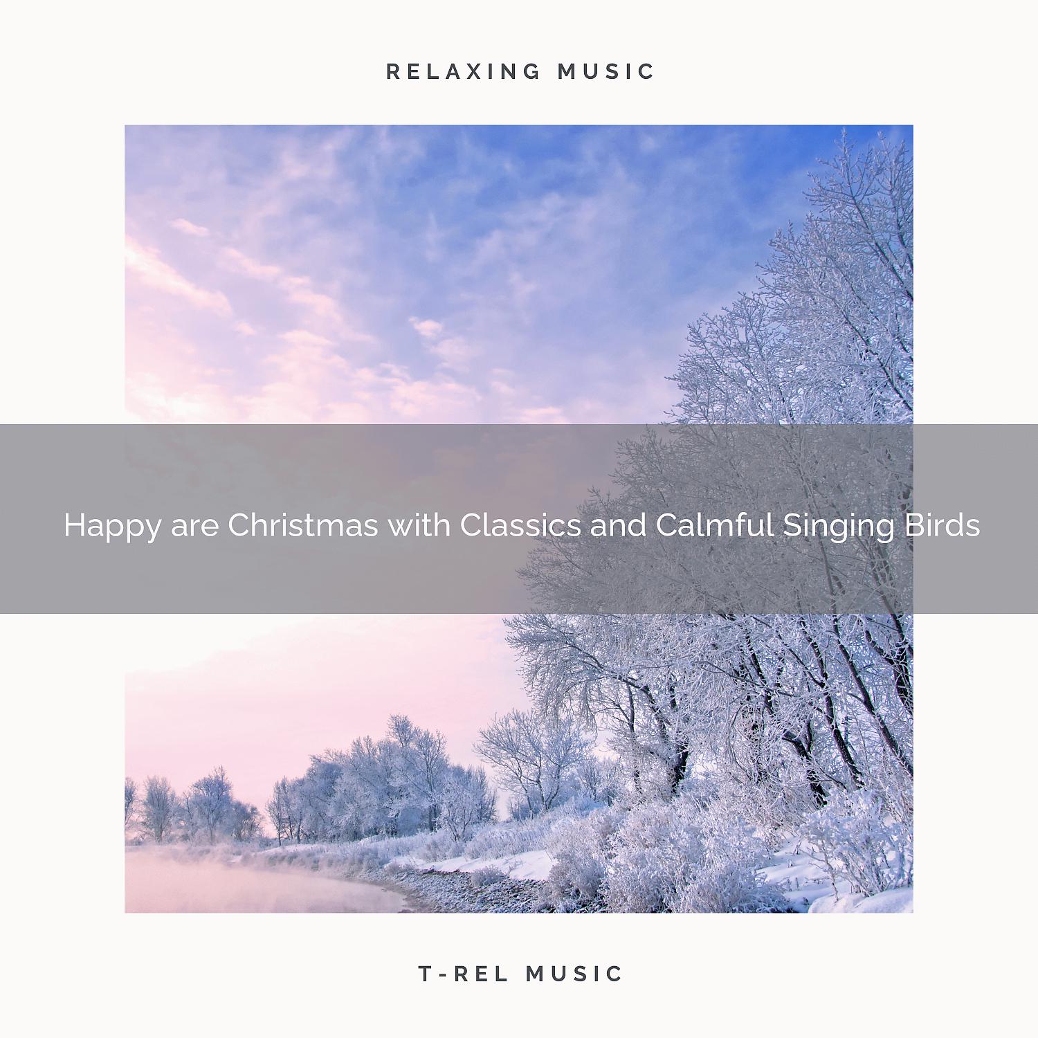 Постер альбома Happy are Christmas with Classics and Calmful Singing Birds