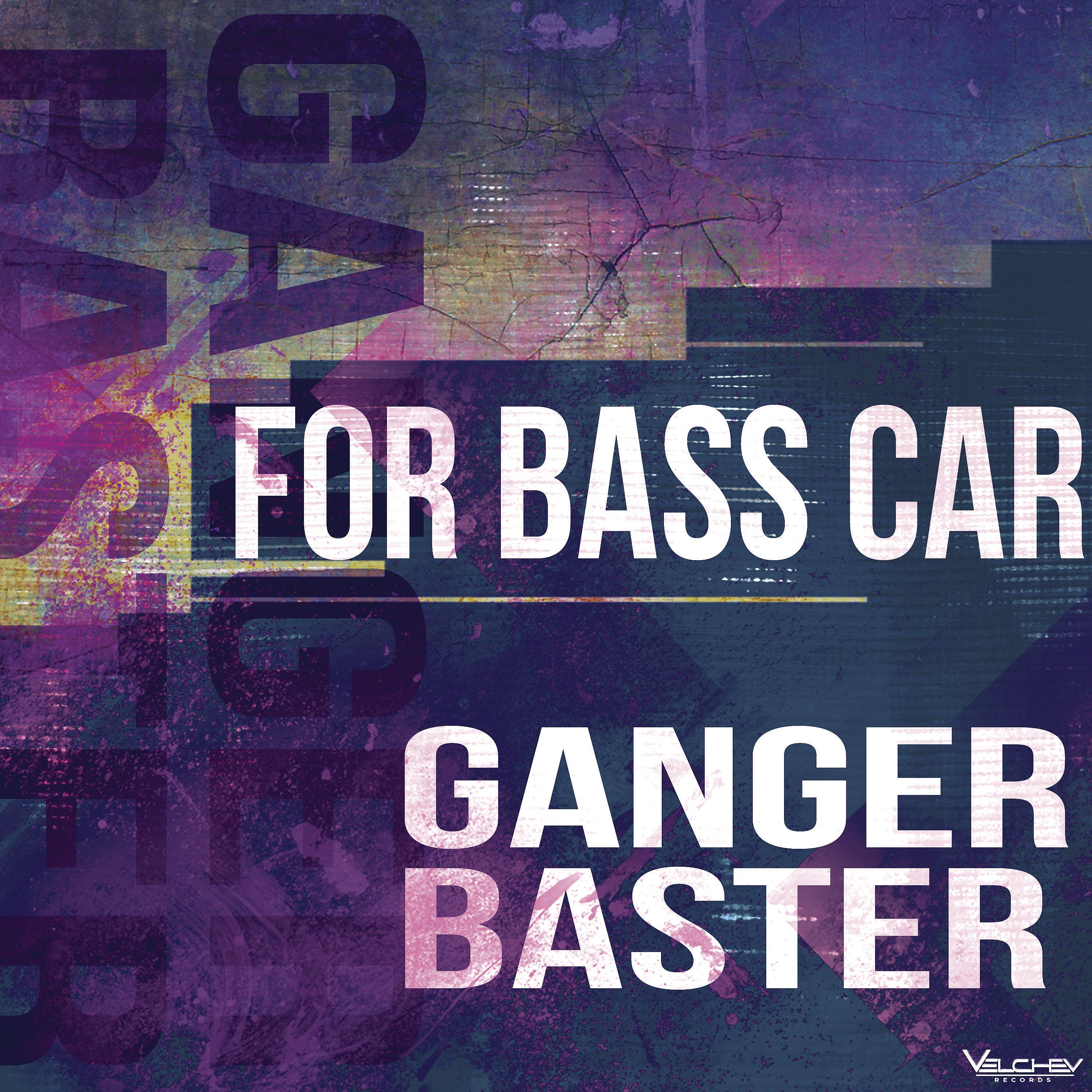 Постер альбома For Bass Car