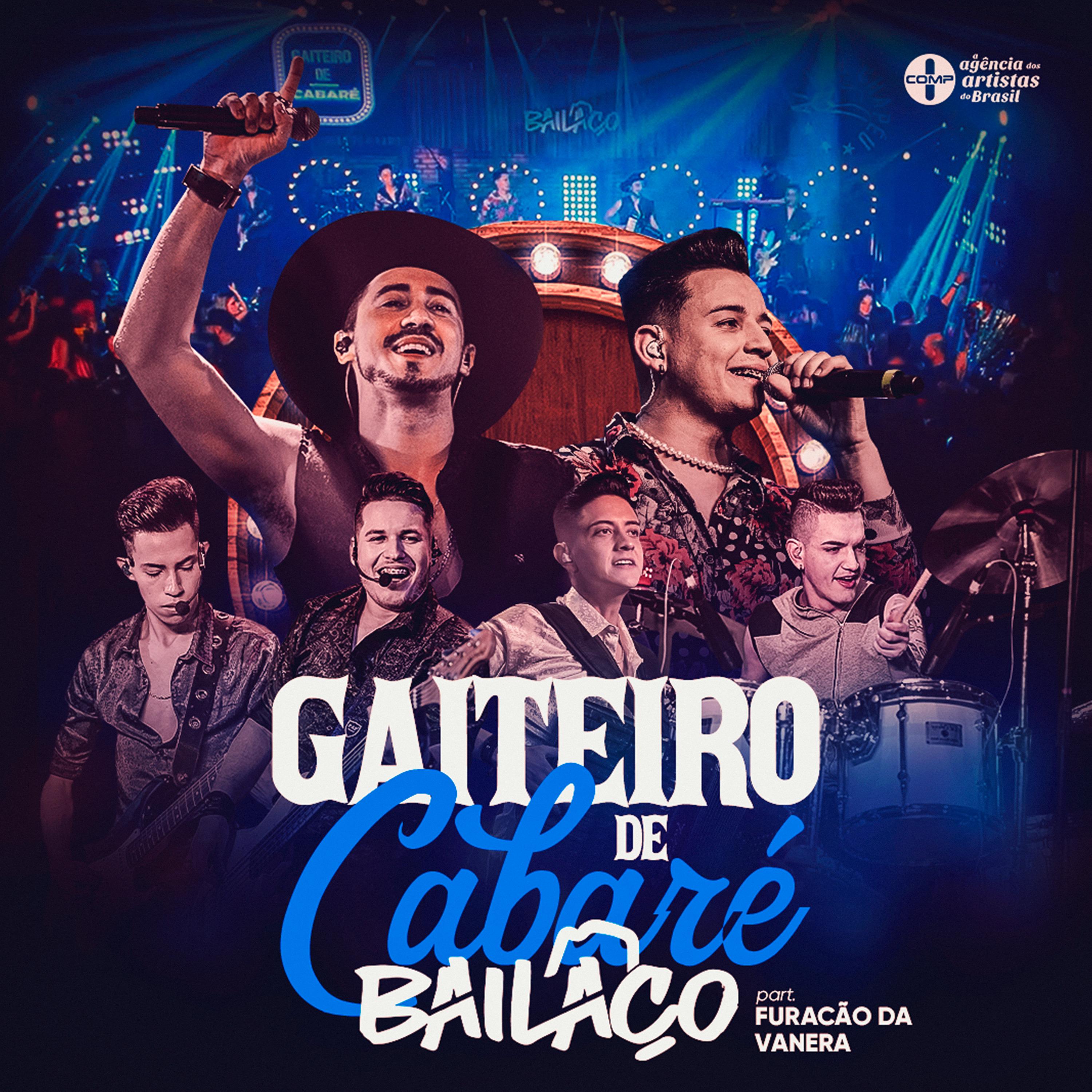 Постер альбома Gaiteiro de Cabaré