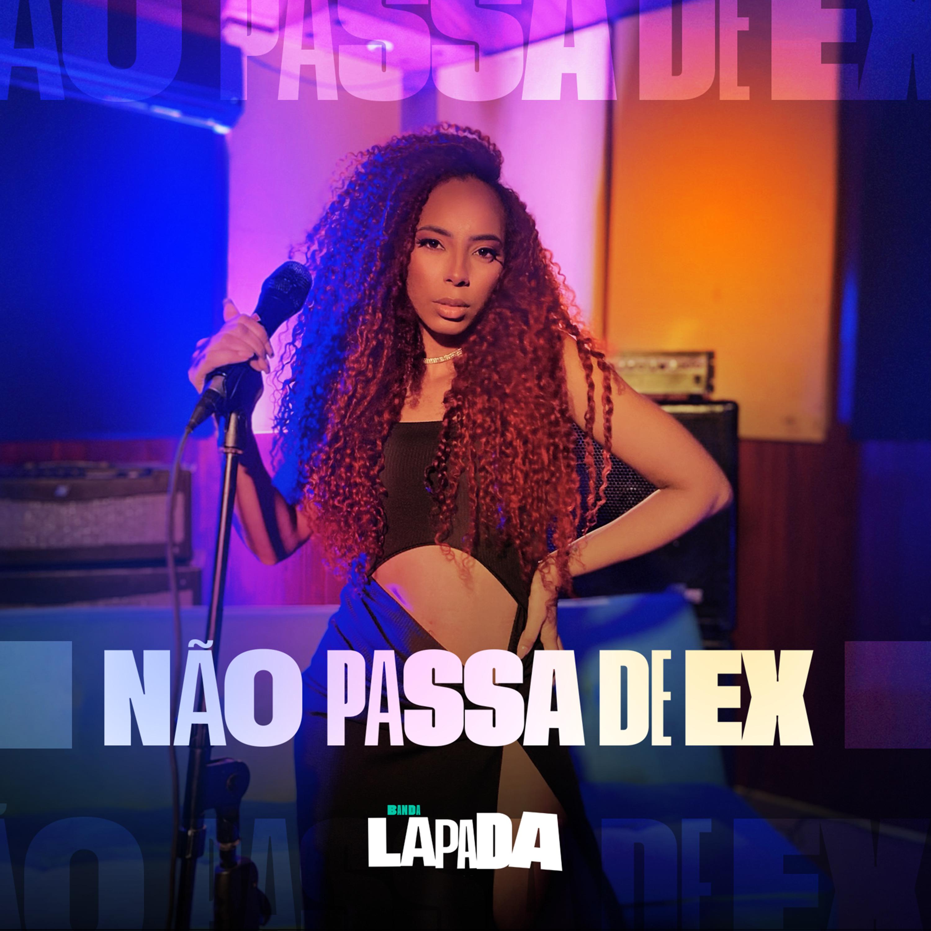Постер альбома Não Passa de Ex