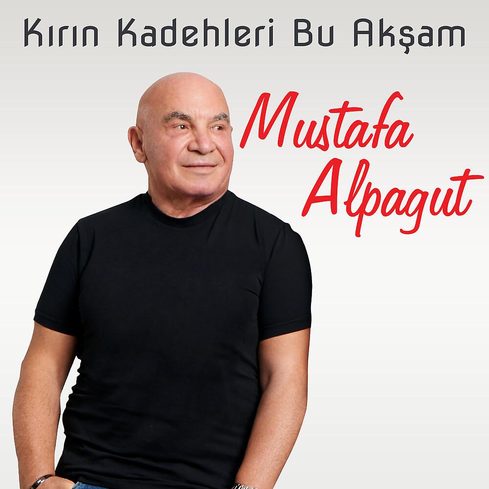 Постер альбома Kırın Kadehleri Bu Akşam