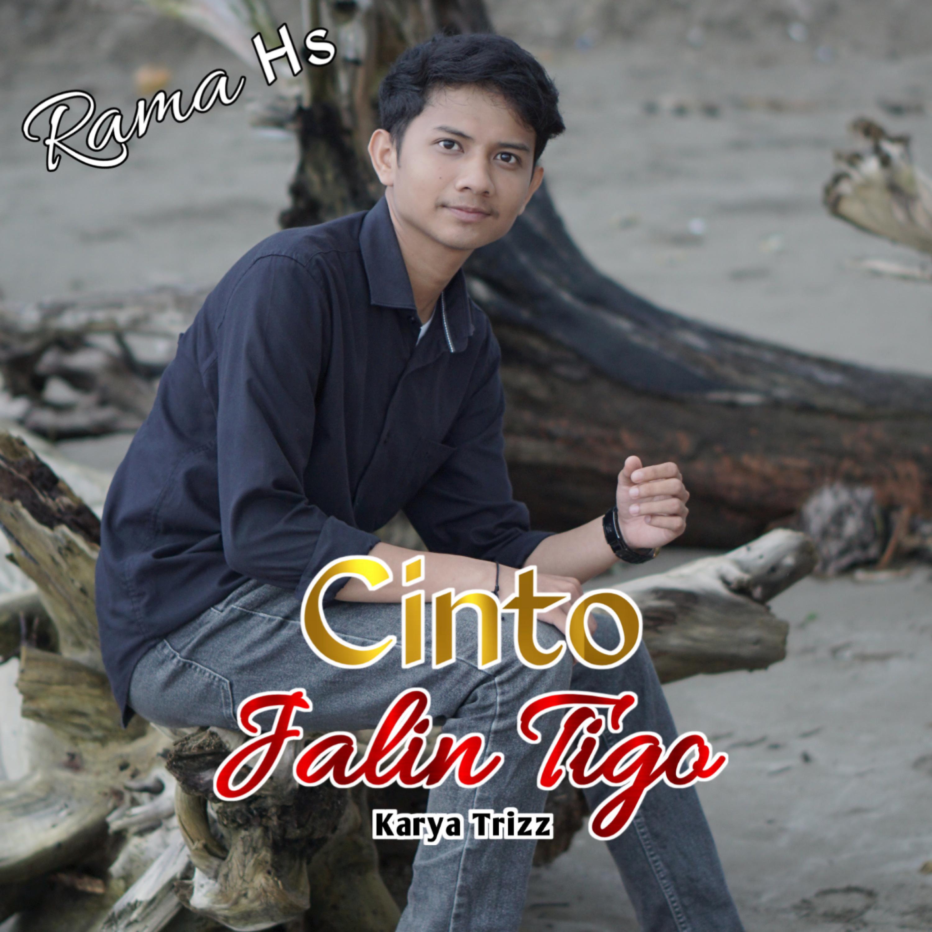 Постер альбома Cinto Jalin Tigo