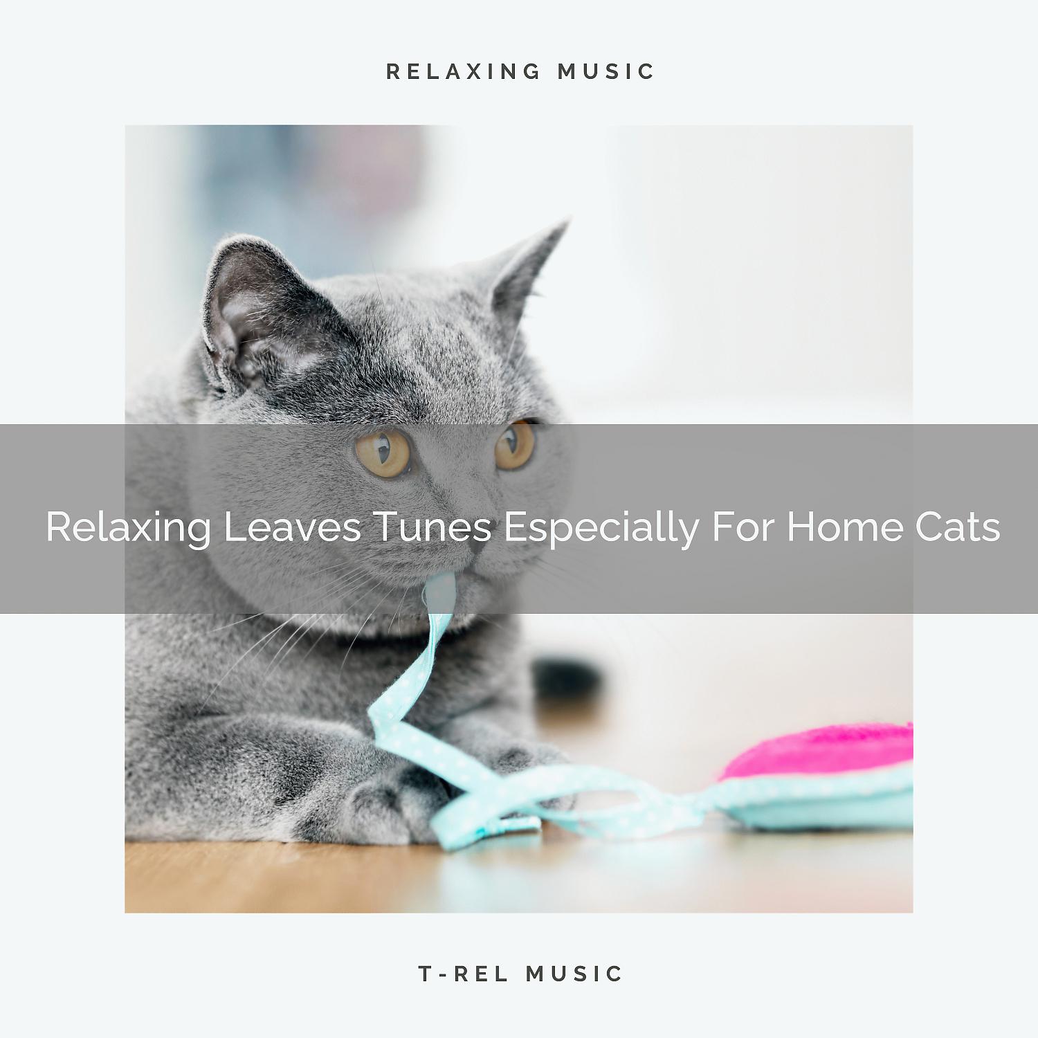 Постер альбома Relaxing Leaves Tunes Especially For Home Cats