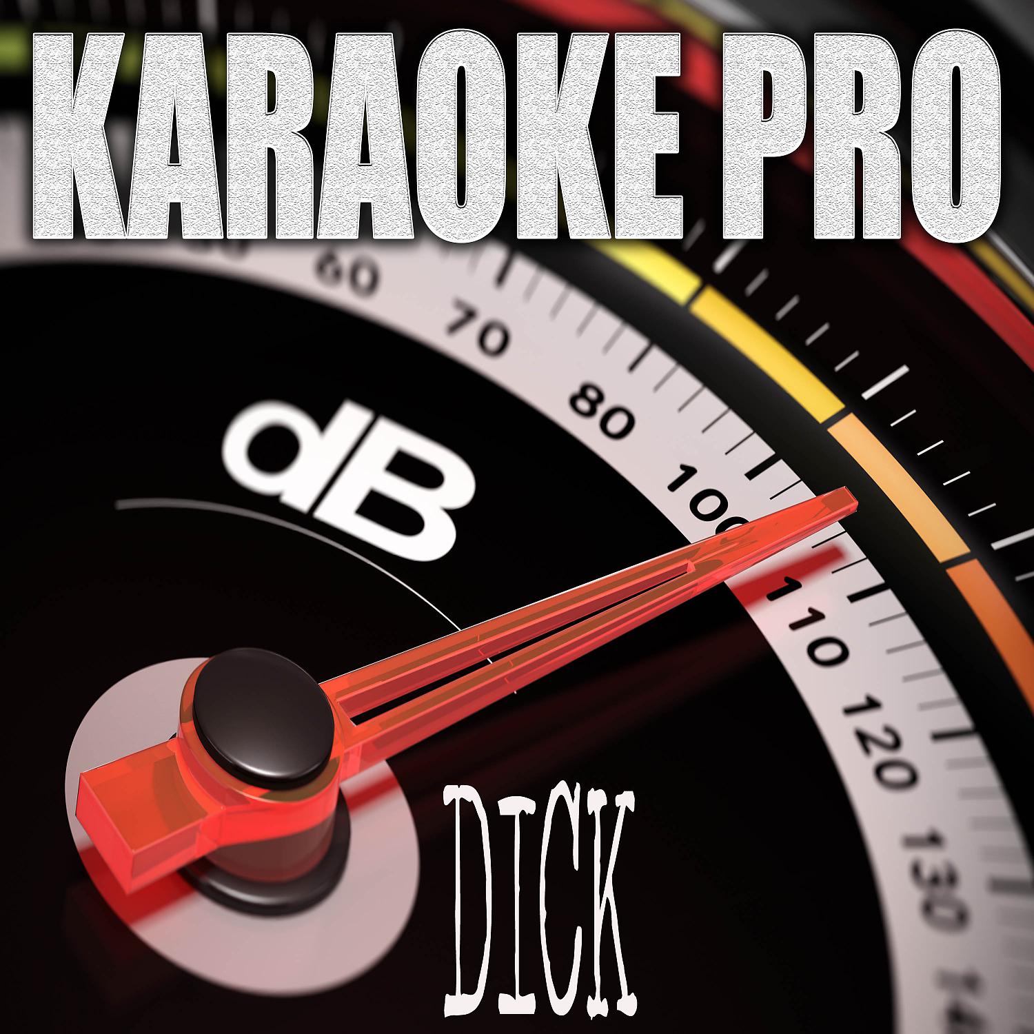 Постер альбома Dick (Originally Performed by StarBoi3 and Doja Cat) (Karaoke)