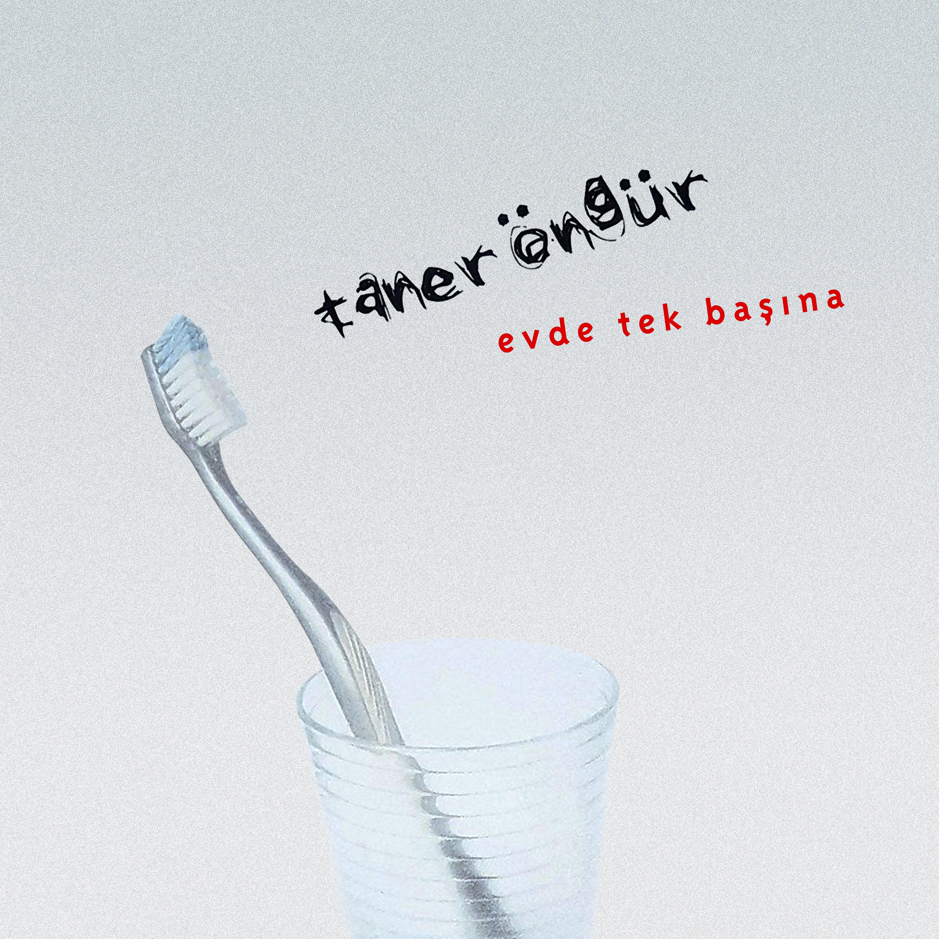 Постер альбома Evde Tek Başına