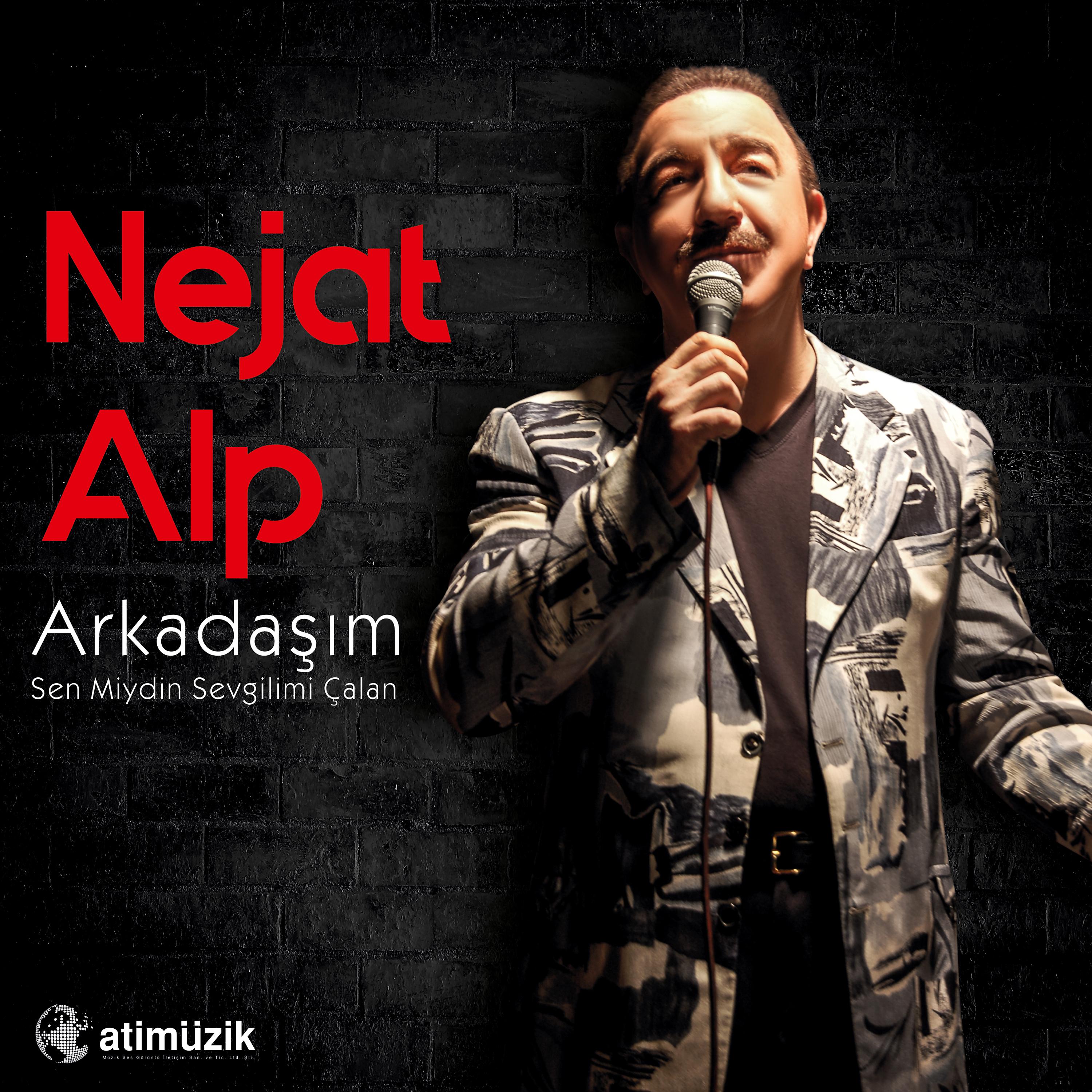 Постер альбома Arkadaşım / Sen Miydin Sevgilimi Çalan