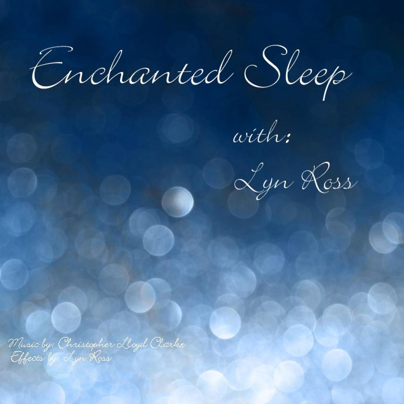 Постер альбома Enchanted Sleep