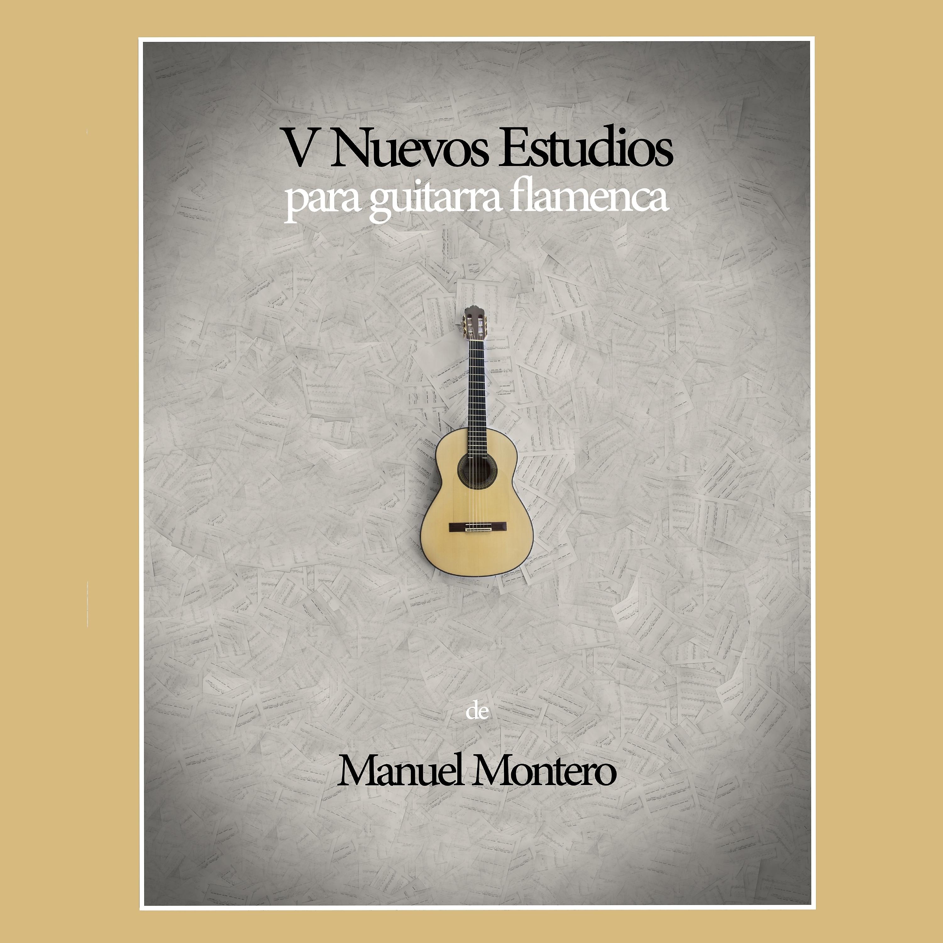 Постер альбома V Nuevos Estudios para Guitarra Flamenca