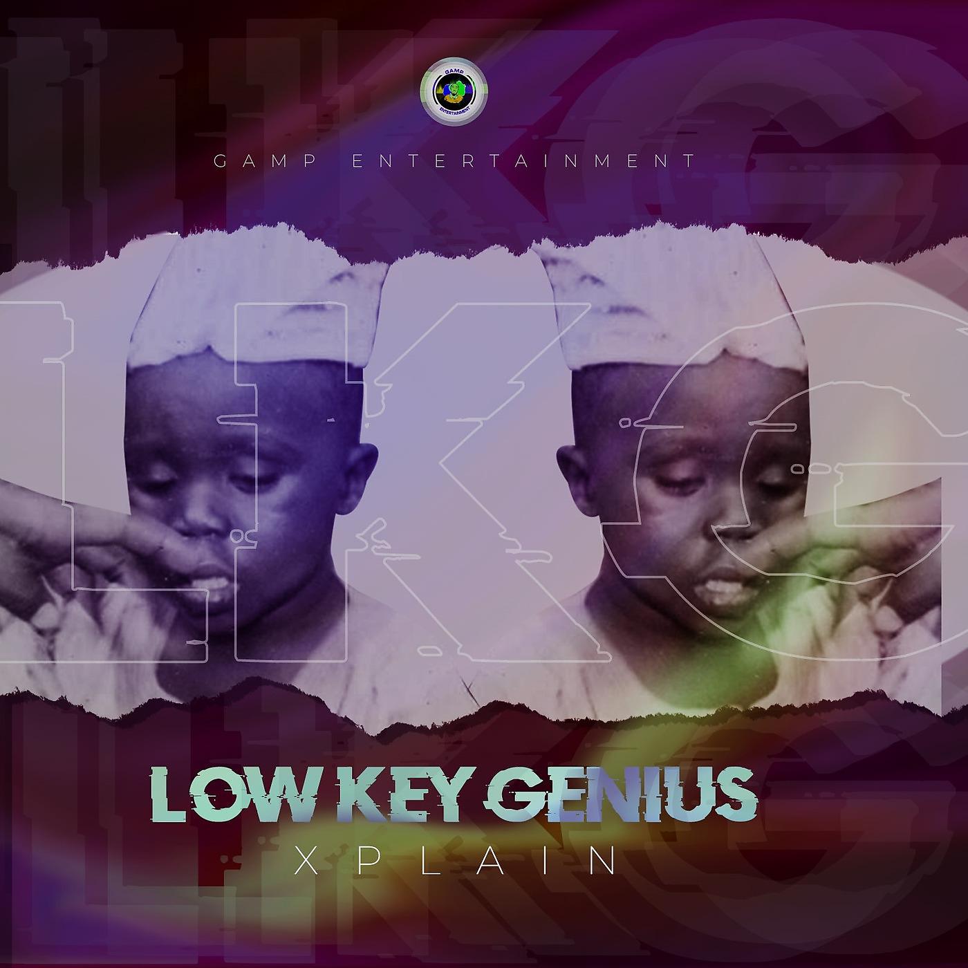 Постер альбома Low Key Genius