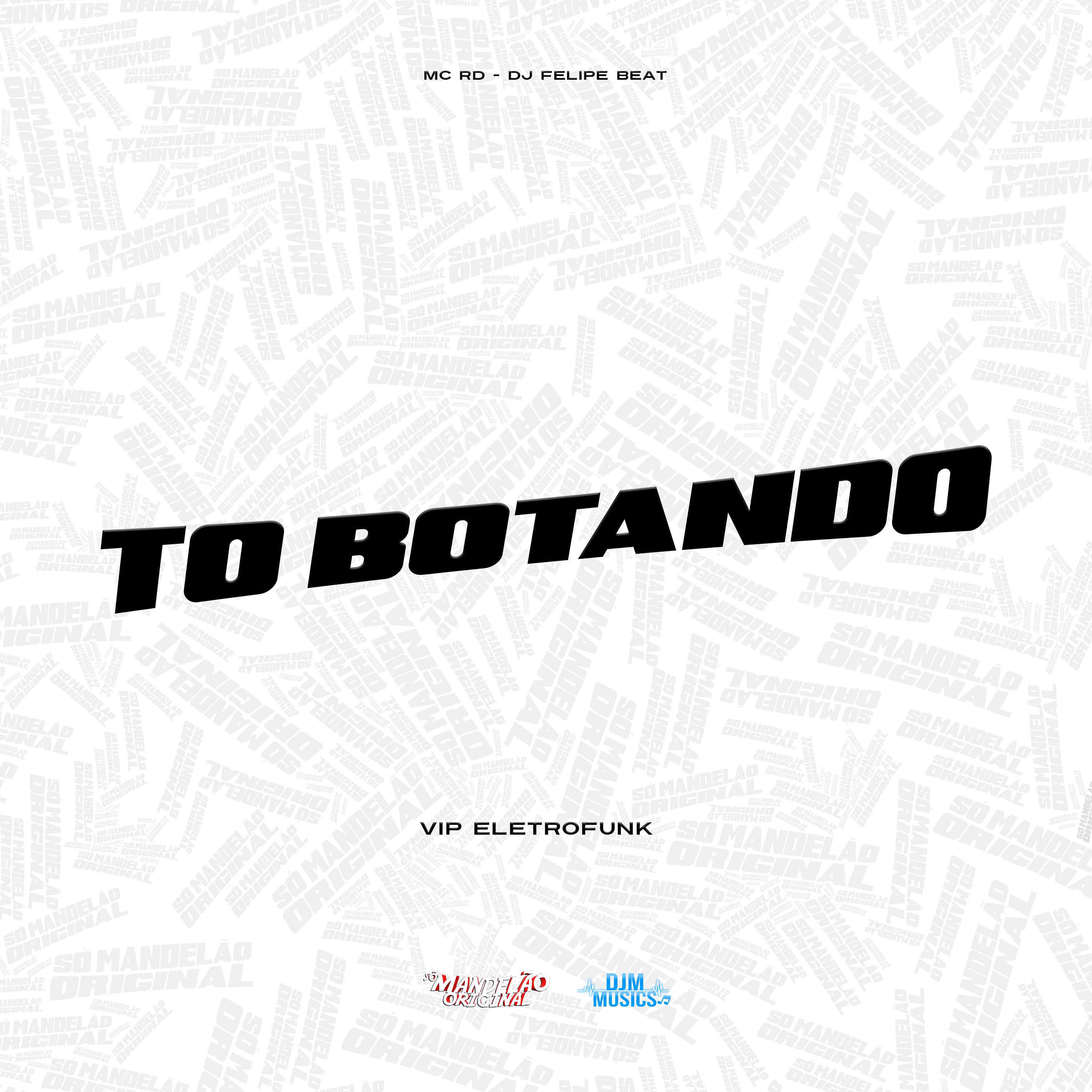 Постер альбома Tô Botando Vip Eletrofunk