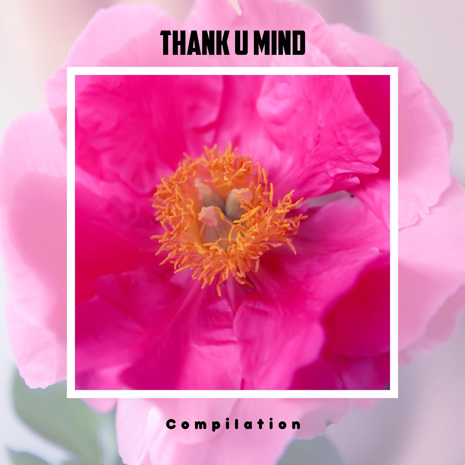 Постер альбома Thank U Mind Compilation