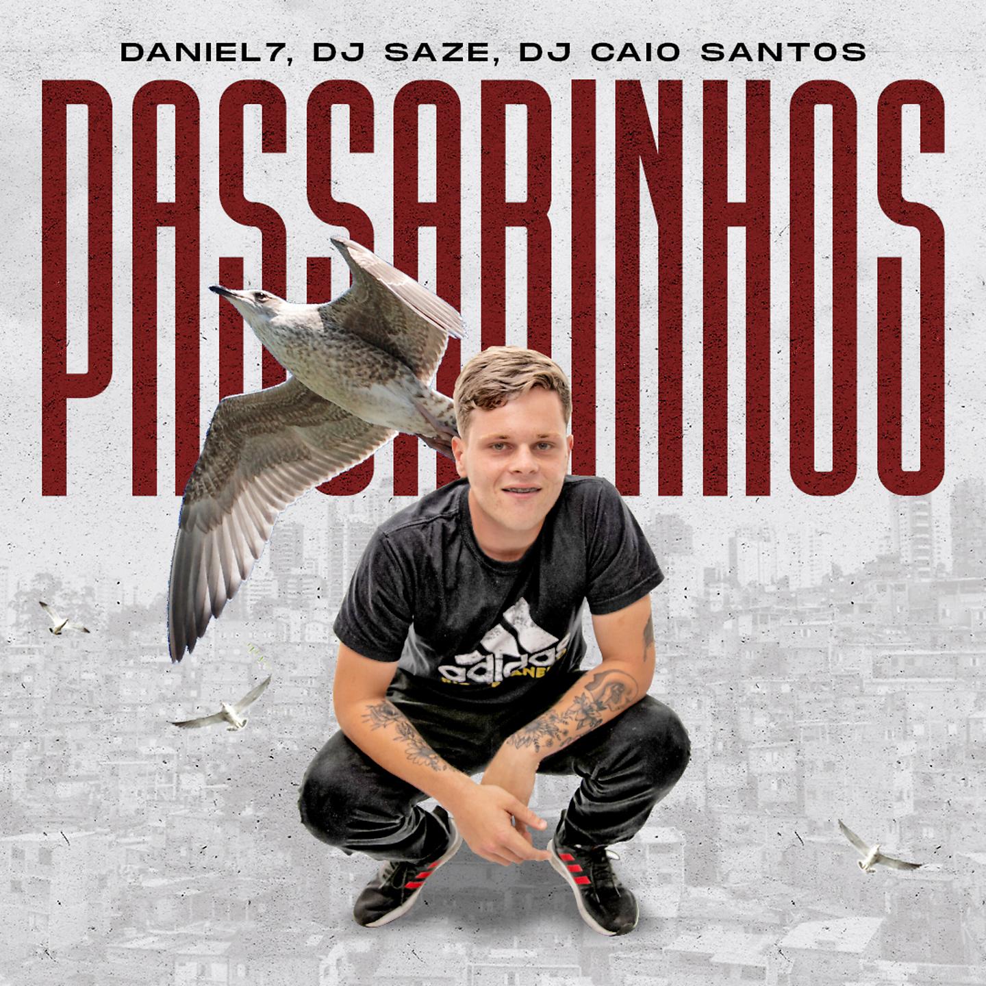 Постер альбома Passarinhos