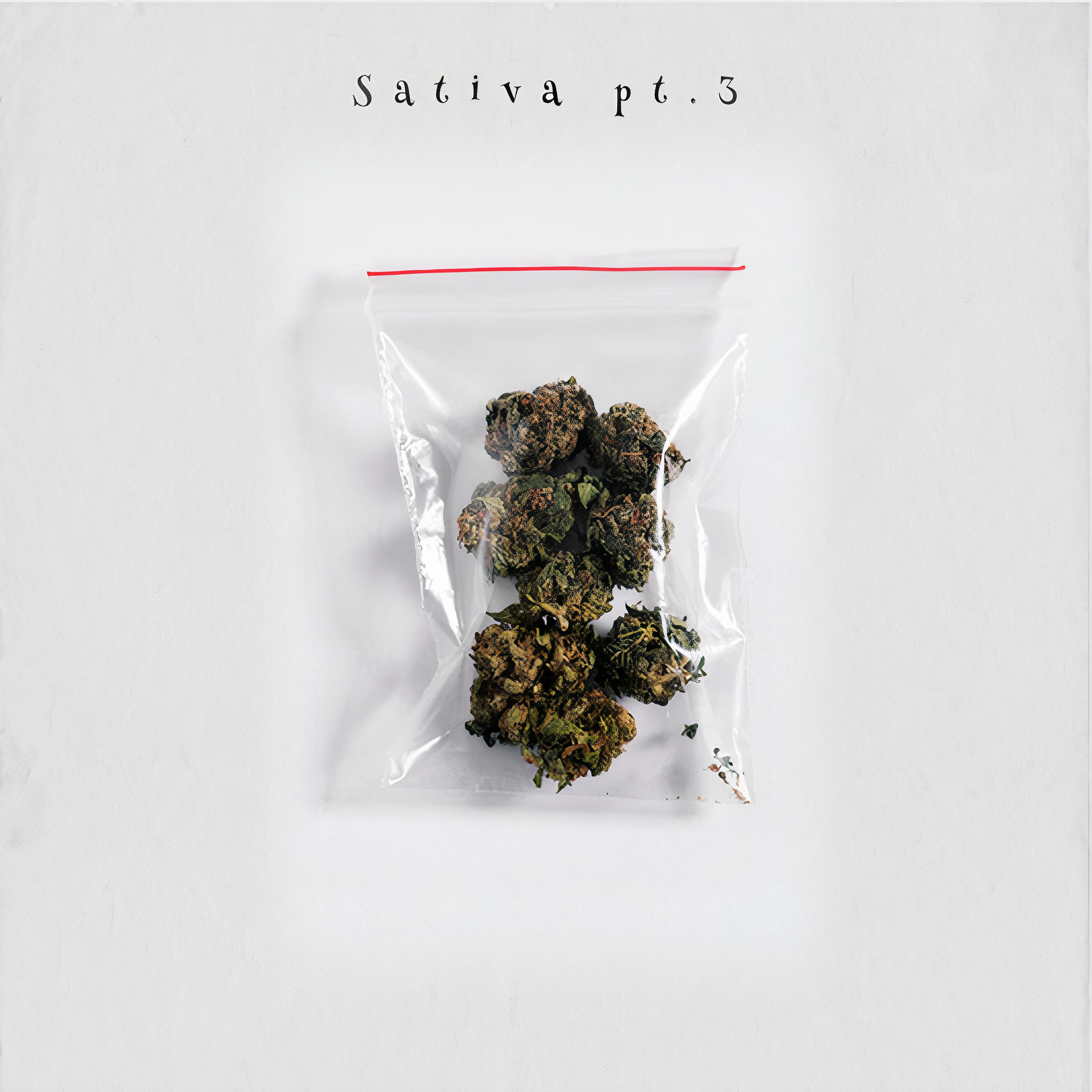 Постер альбома Sativa, Pt.3