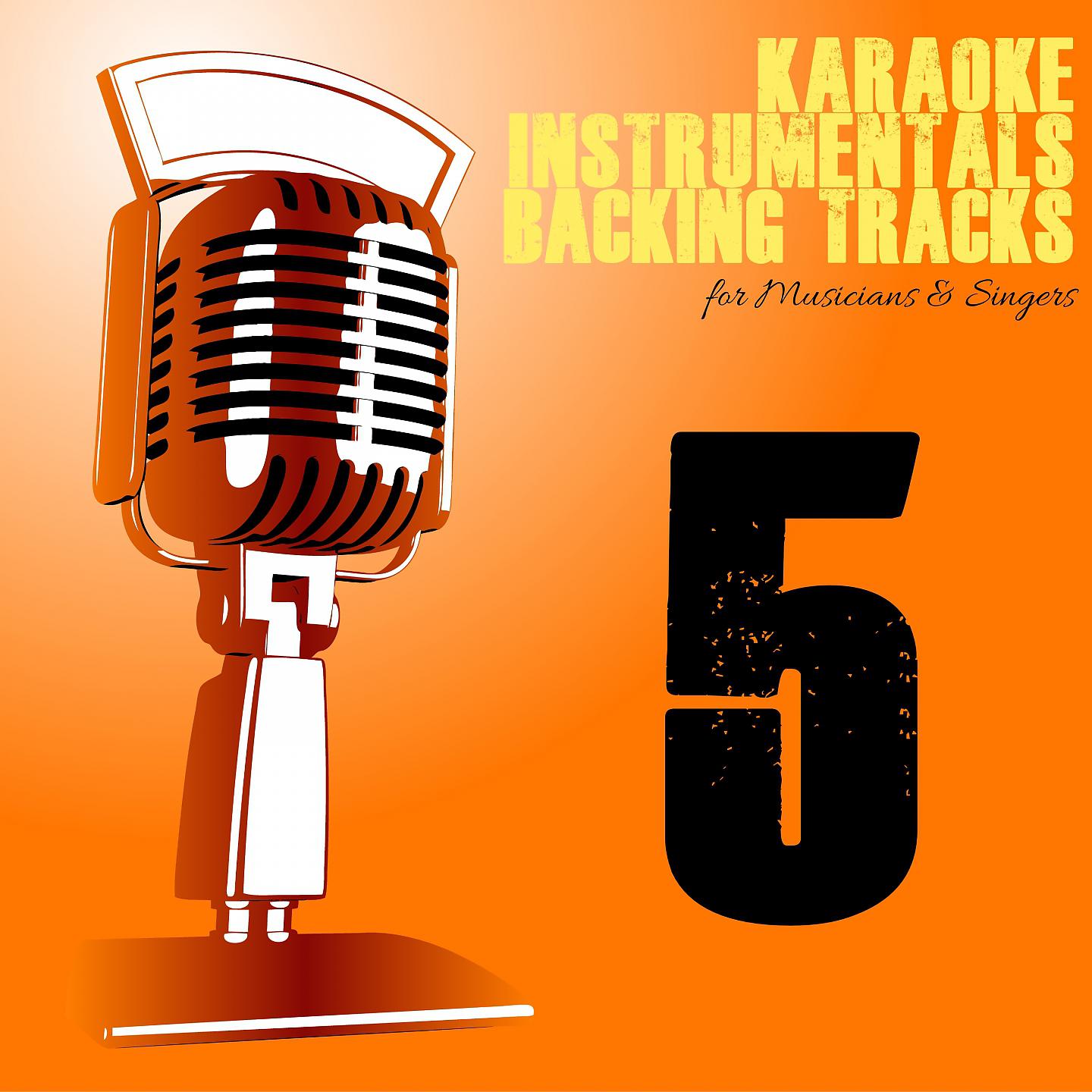 Постер альбома Karaoke, Instrumentals, Backing Tracks, Vol. 5