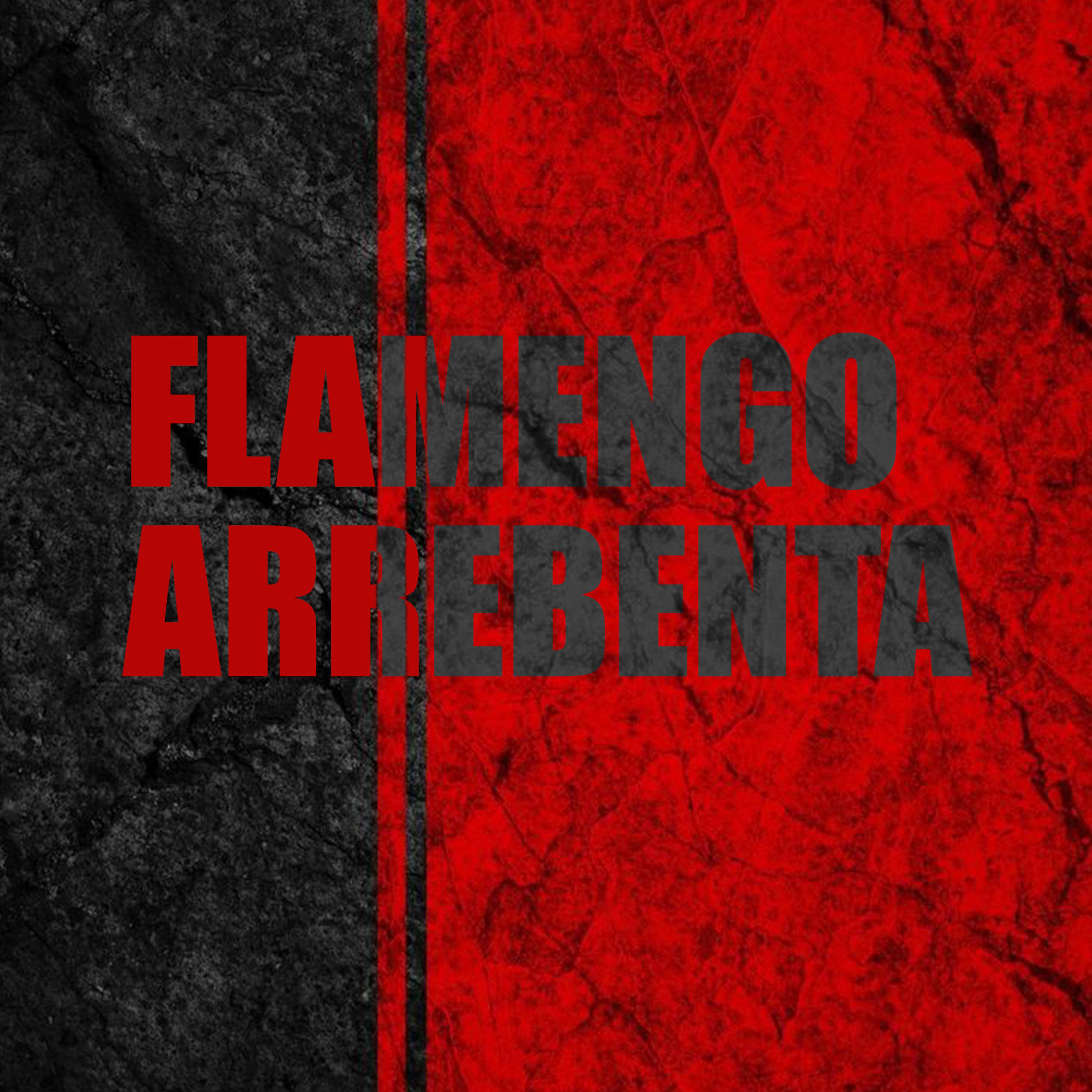 Постер альбома Flamengo Arrebenta