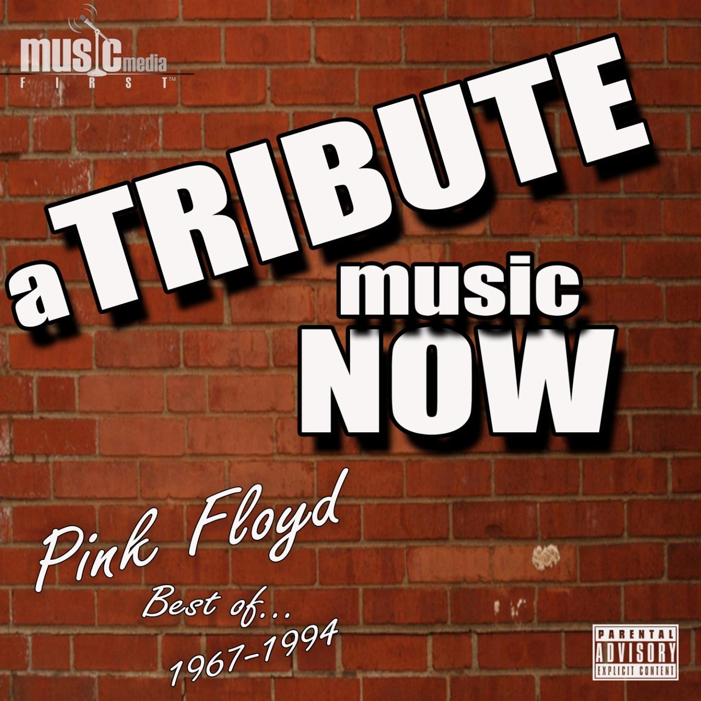 Постер альбома A Tribute Music Now: Best of... Pink Floyd