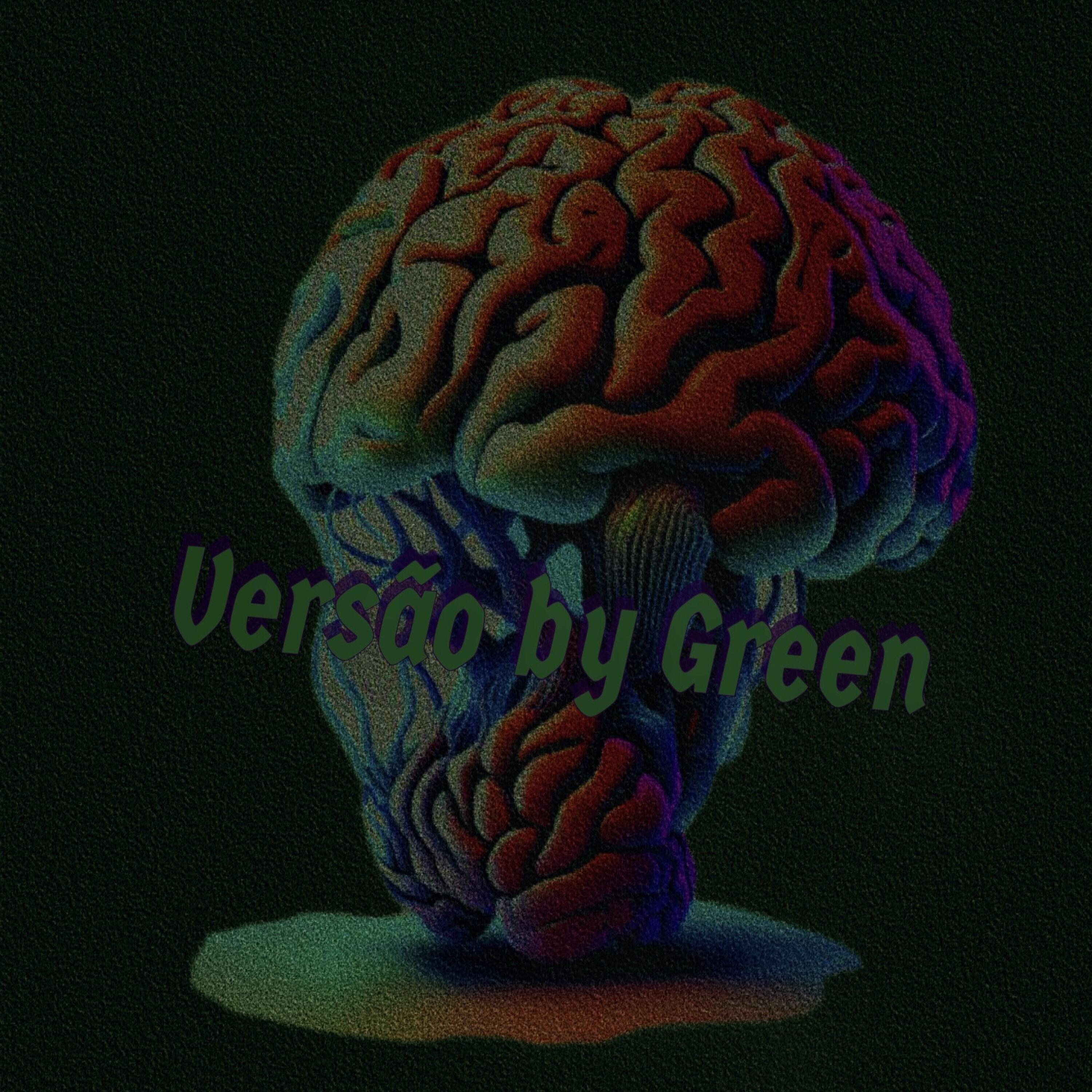 Постер альбома Versão By Green