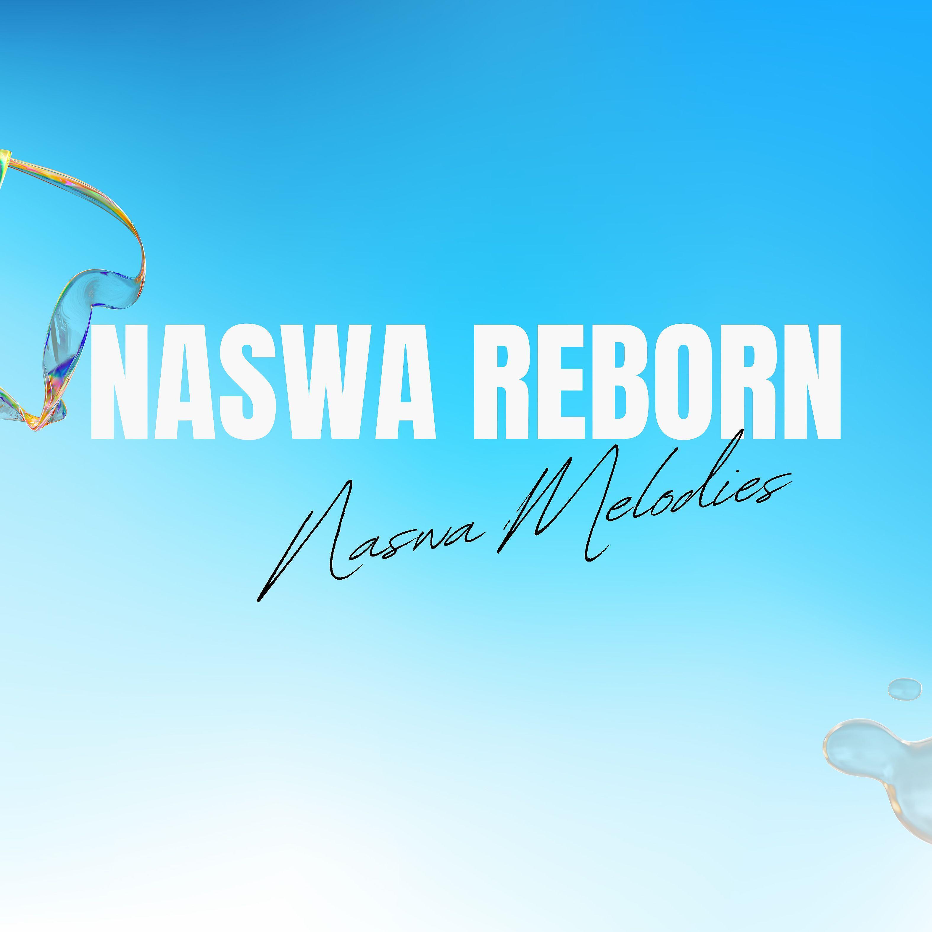 Постер альбома Naswa Reborn