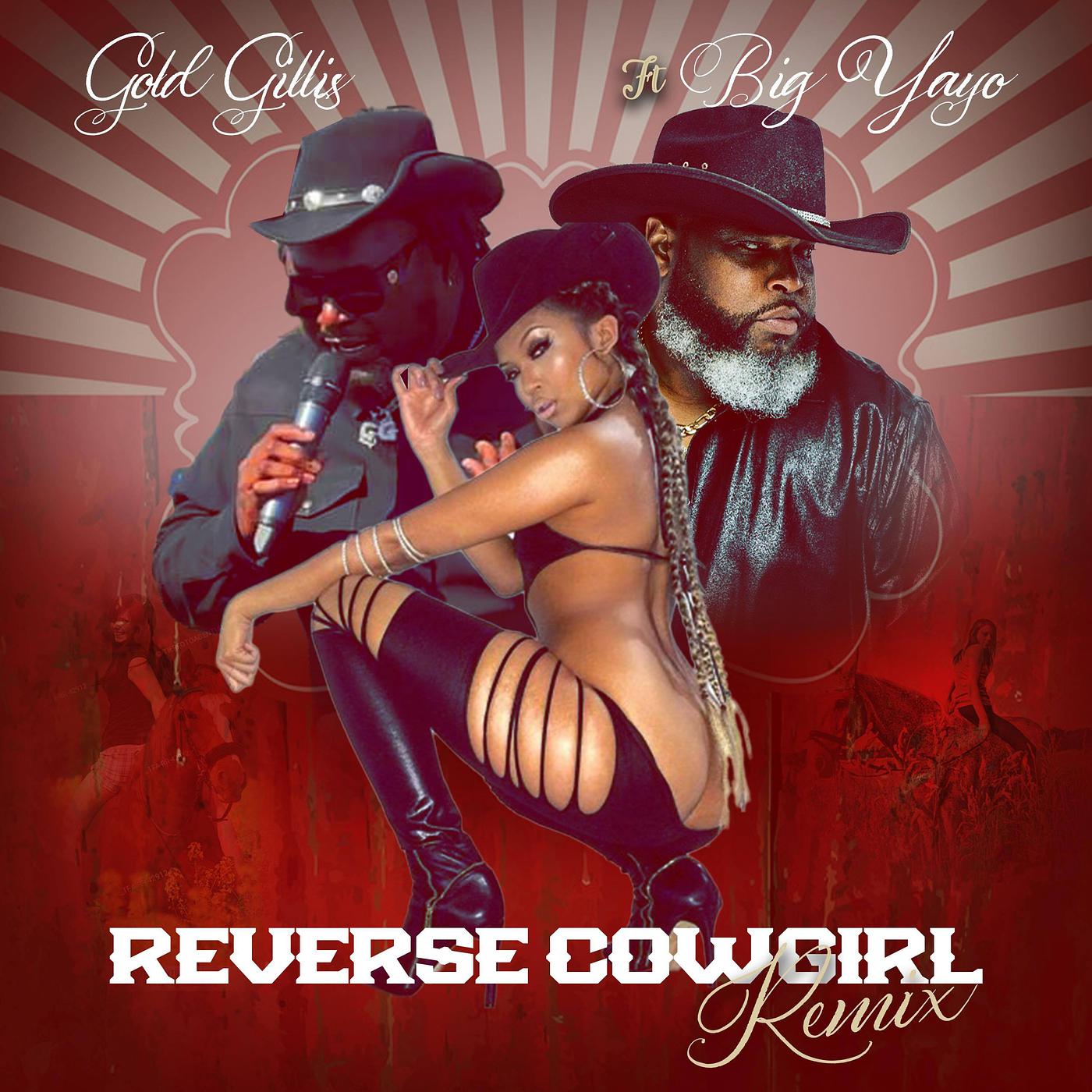 Постер альбома Reverse Cowgirl (Remix)