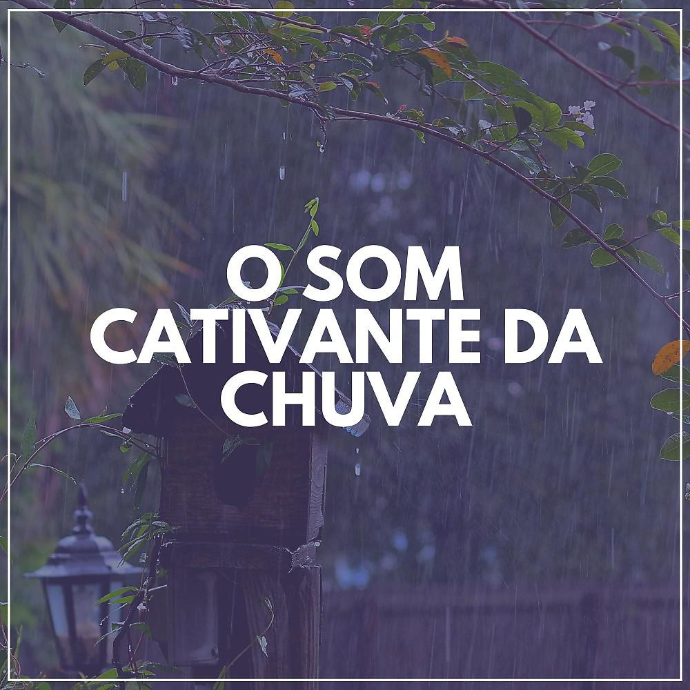 Постер альбома O Som Cativante da Chuva