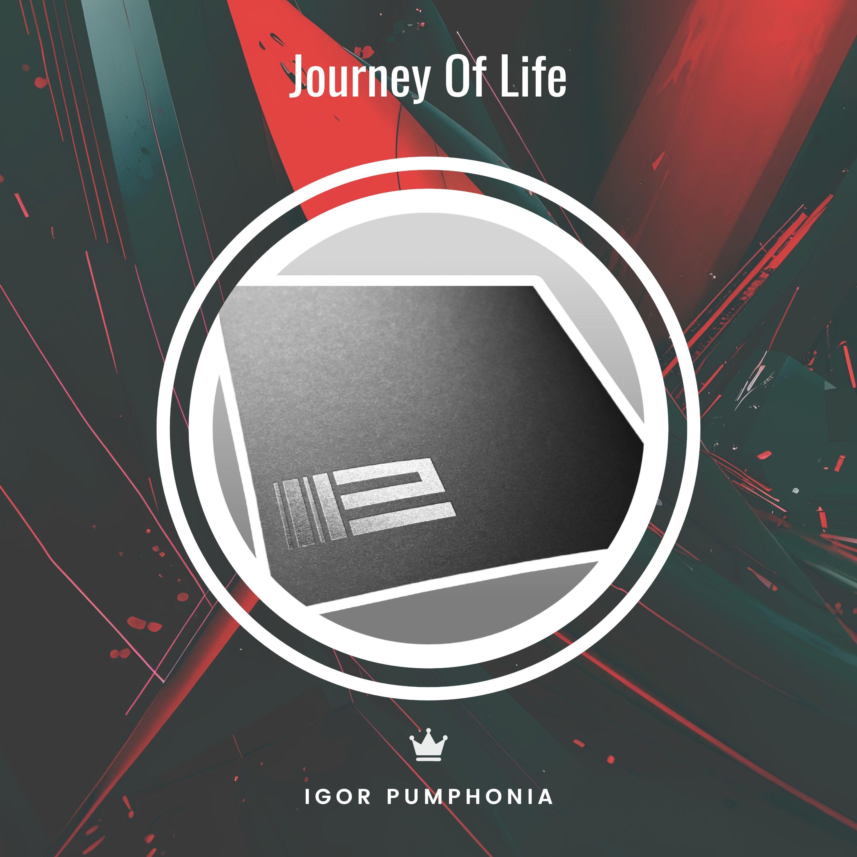 Постер альбома Journey Of Life