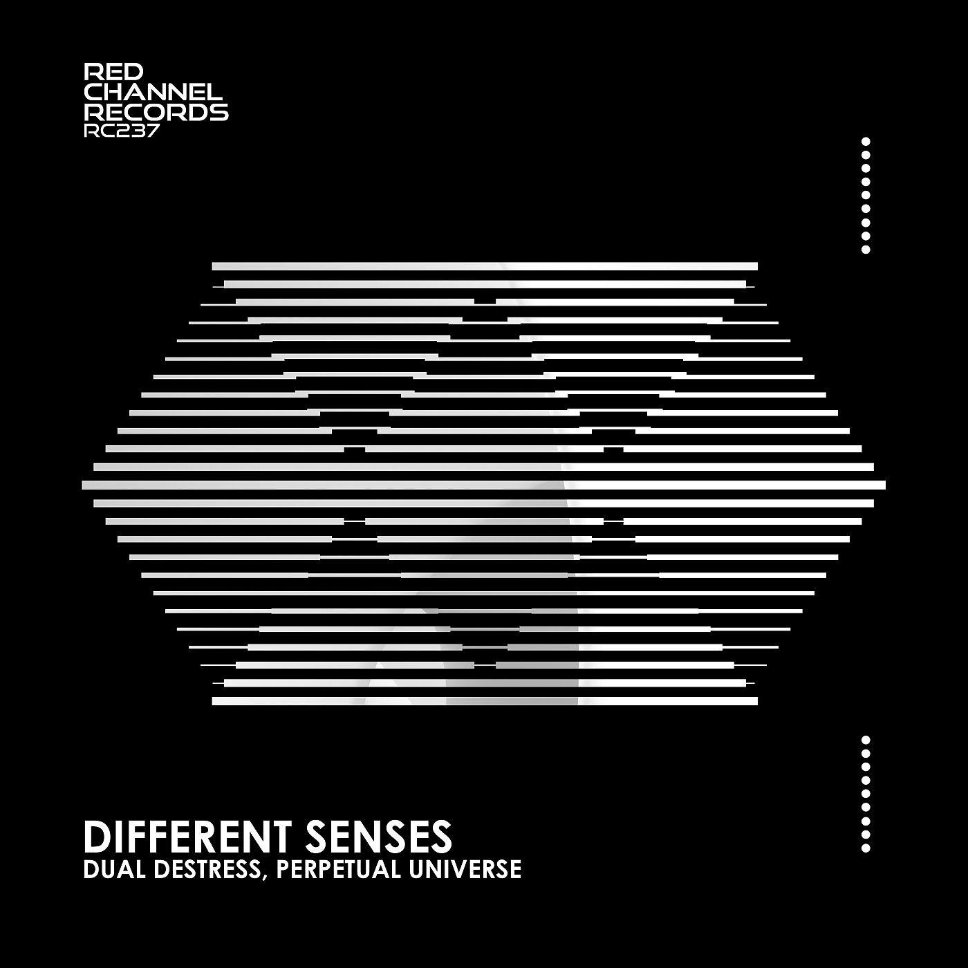Постер альбома Different Senses