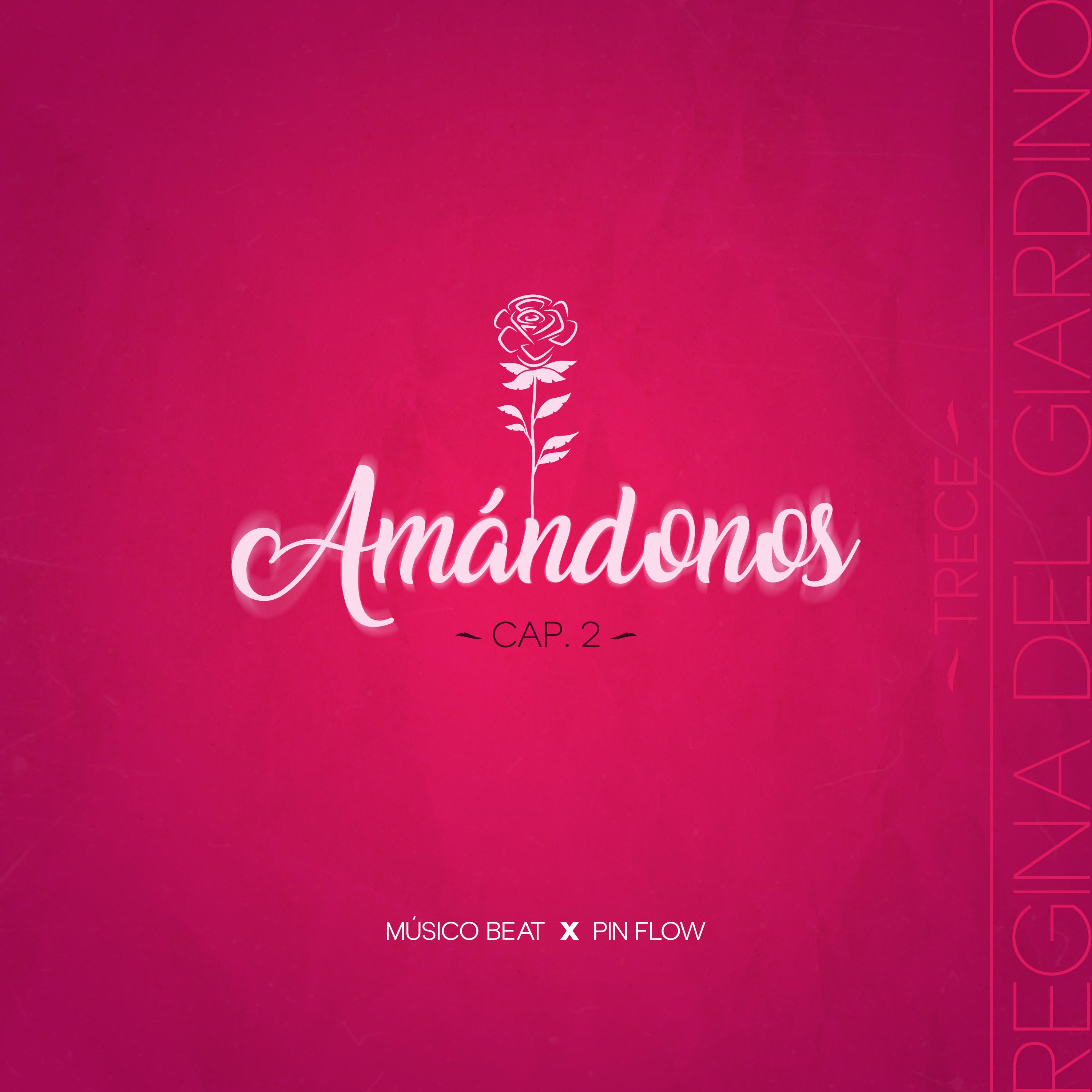 Постер альбома Amándonos, Cap 2