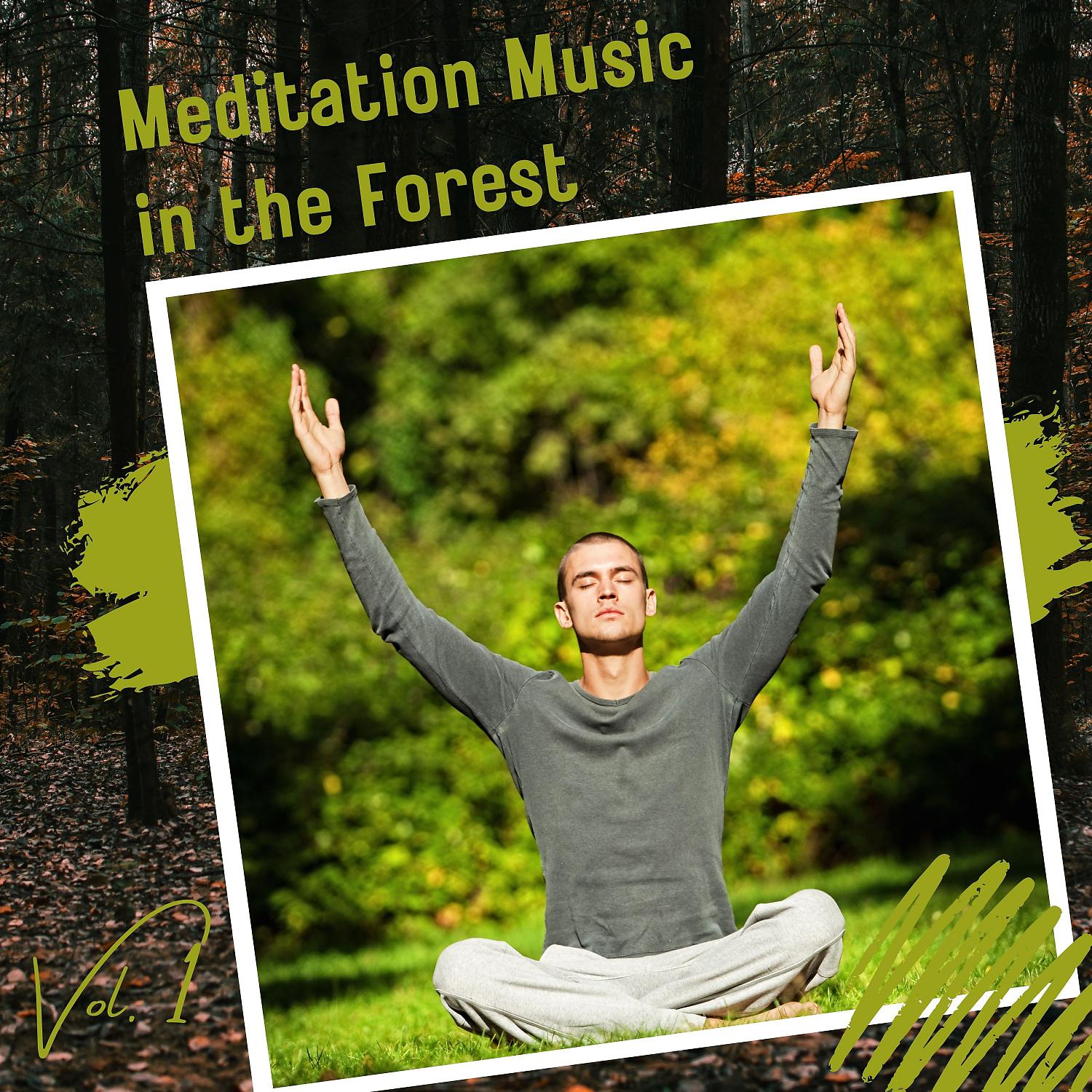 Постер альбома Meditation Music in the Forest Vol. 1