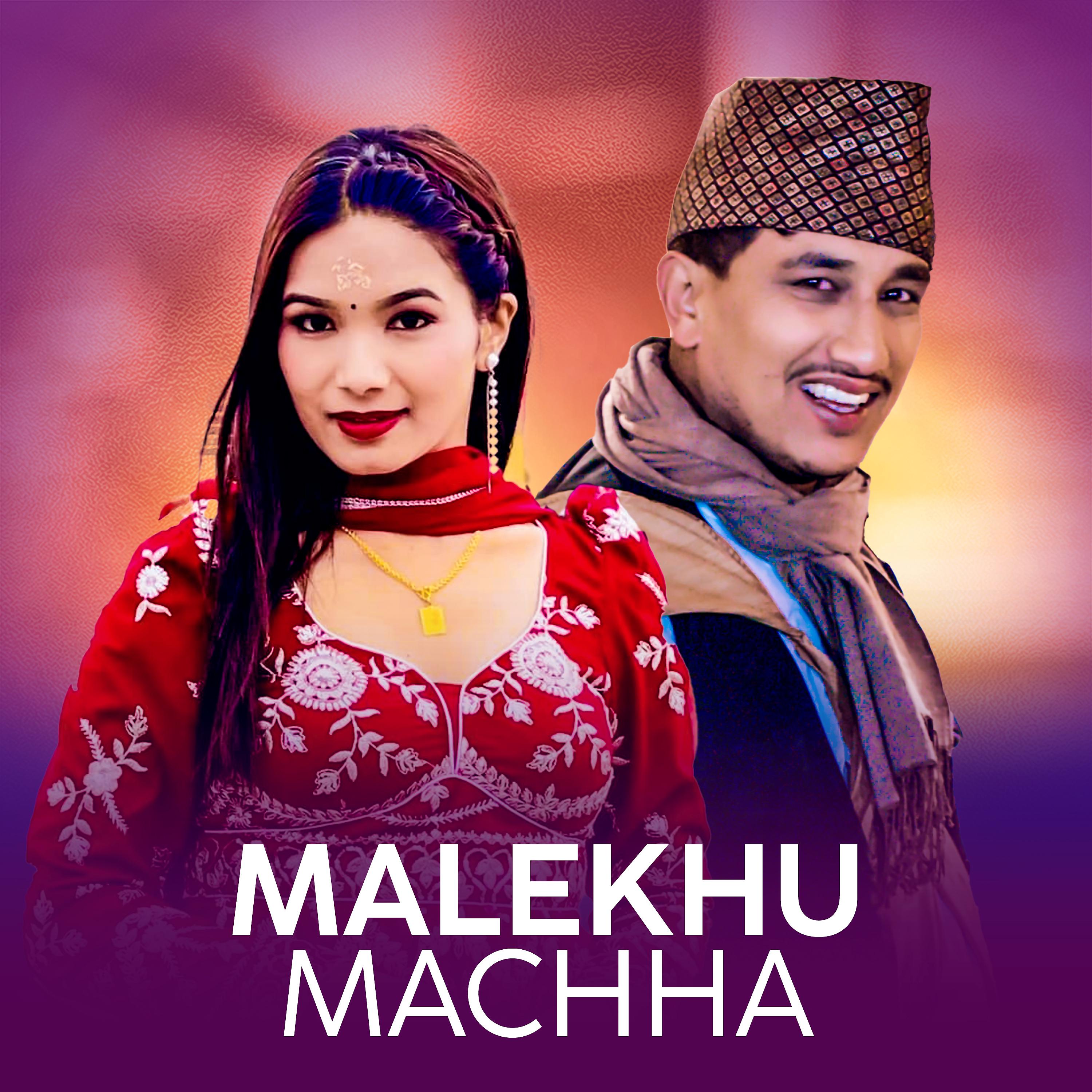 Постер альбома Malekhu Machha
