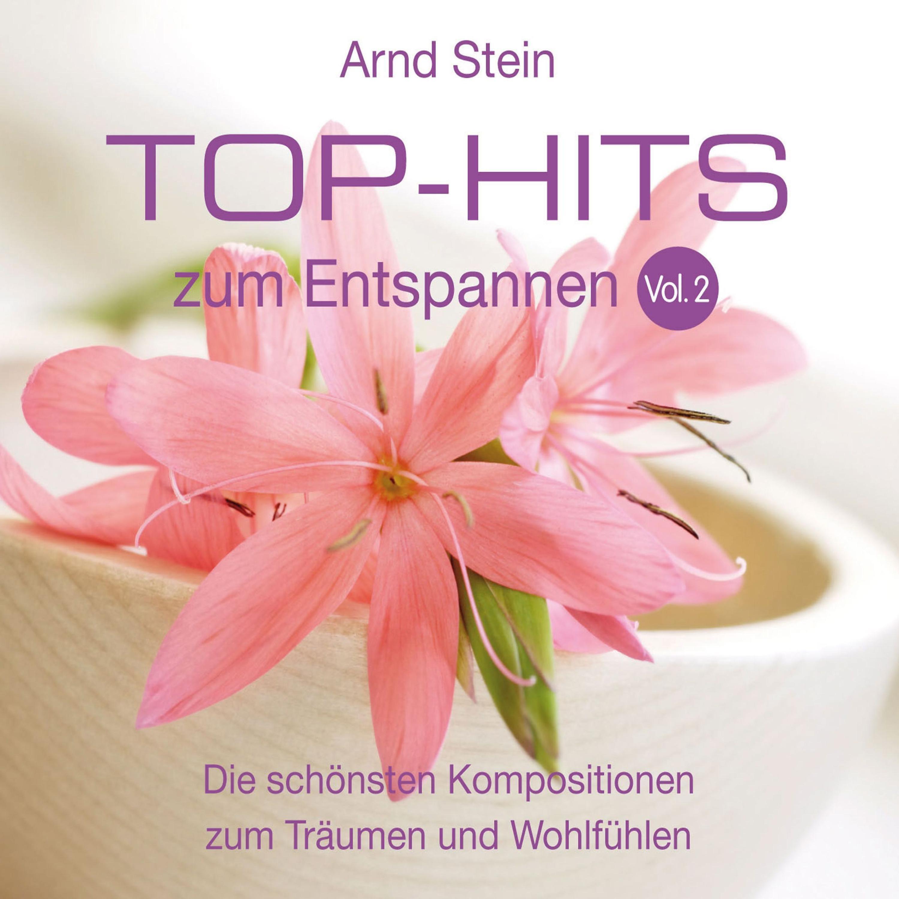 Постер альбома Top Hits Zum Entspannen, Vol. 2