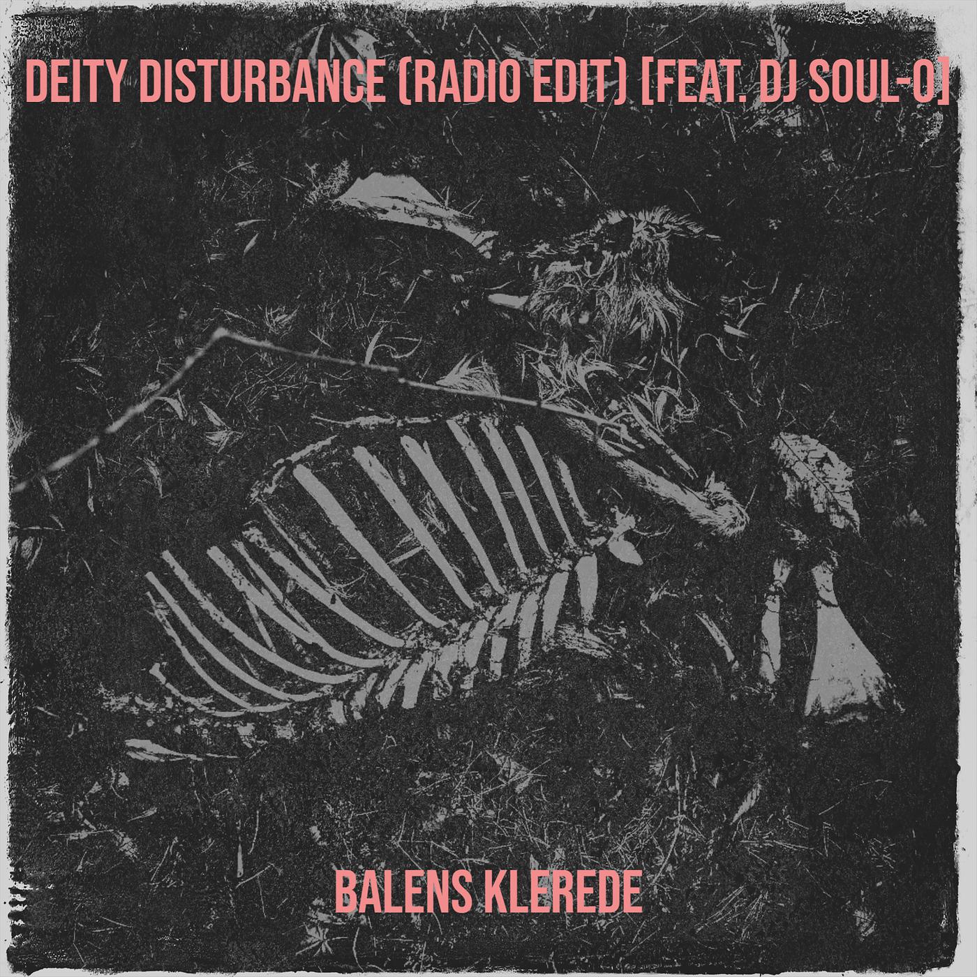 Постер альбома Deity Disturbance (Radio Edit)