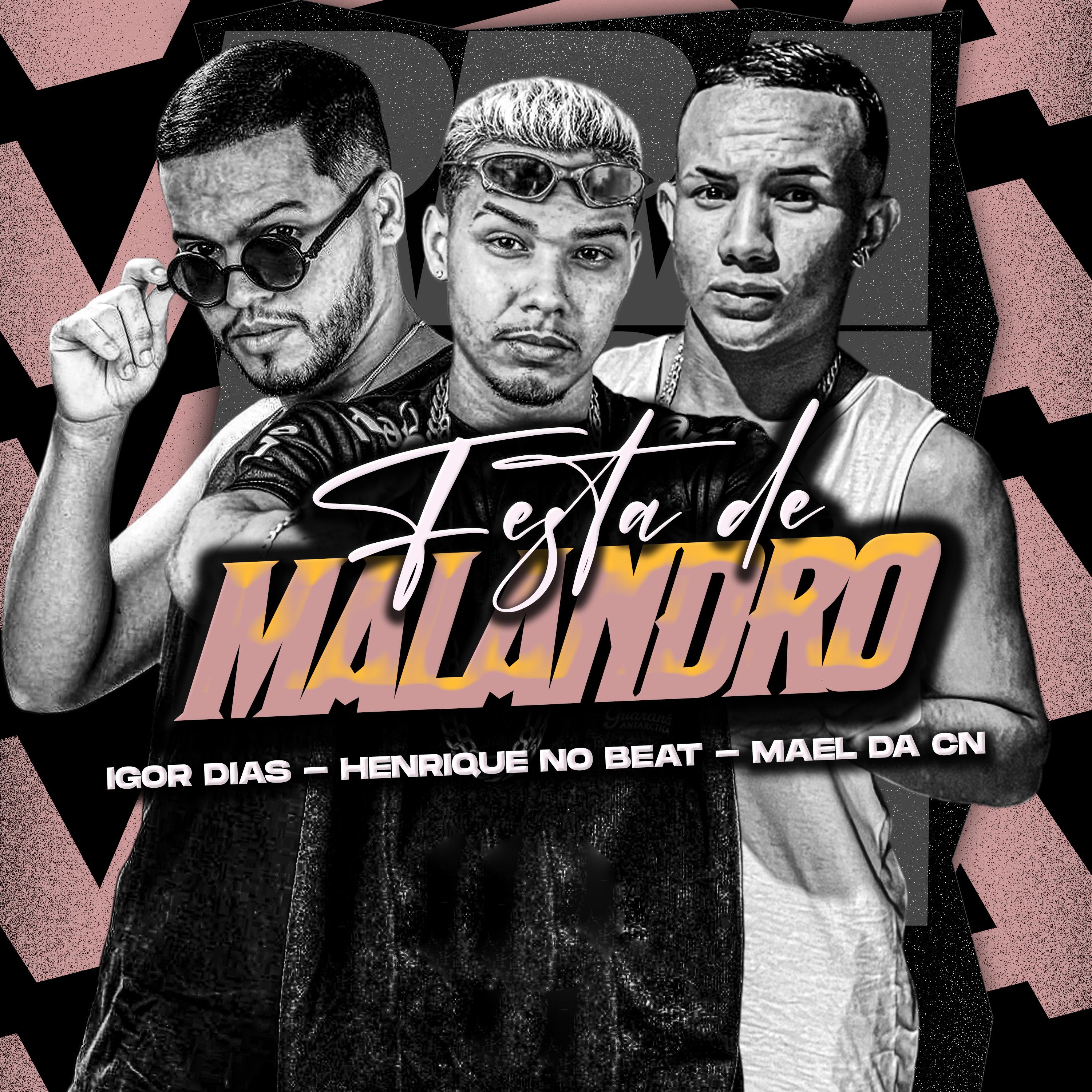Постер альбома Festa de Malandro