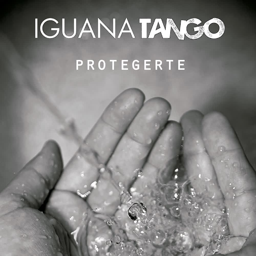Постер альбома Protegerte