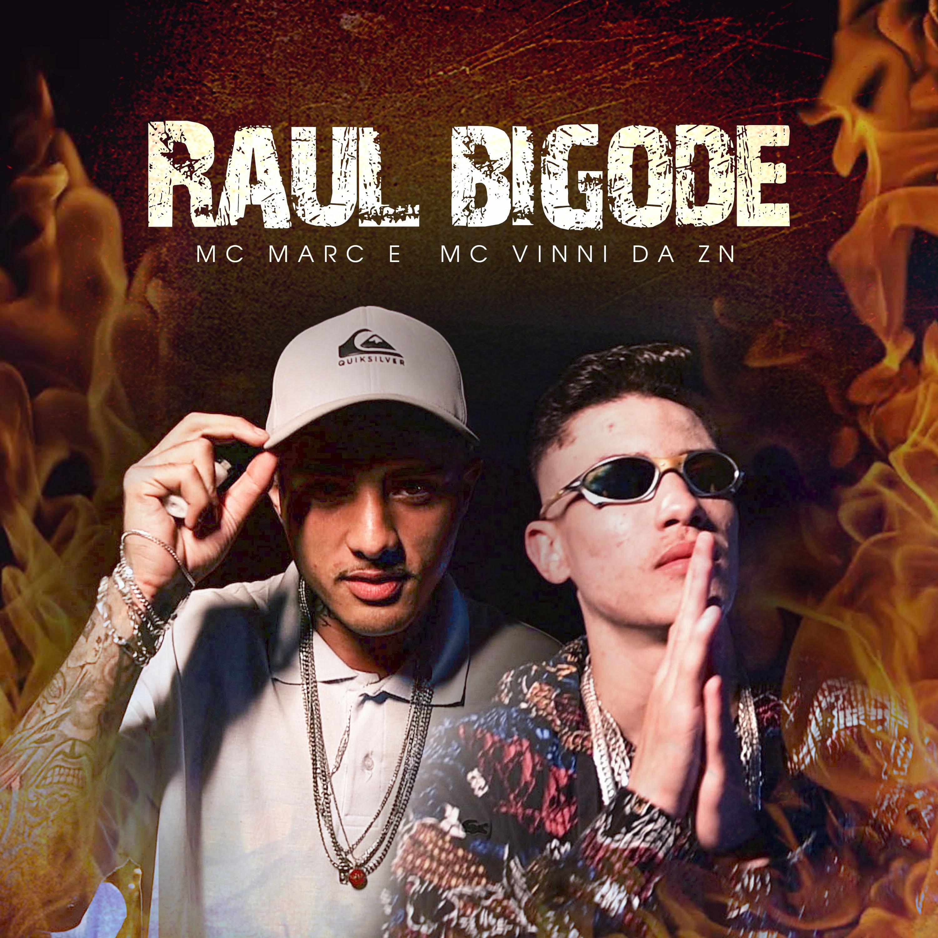 Постер альбома Raul Bigode