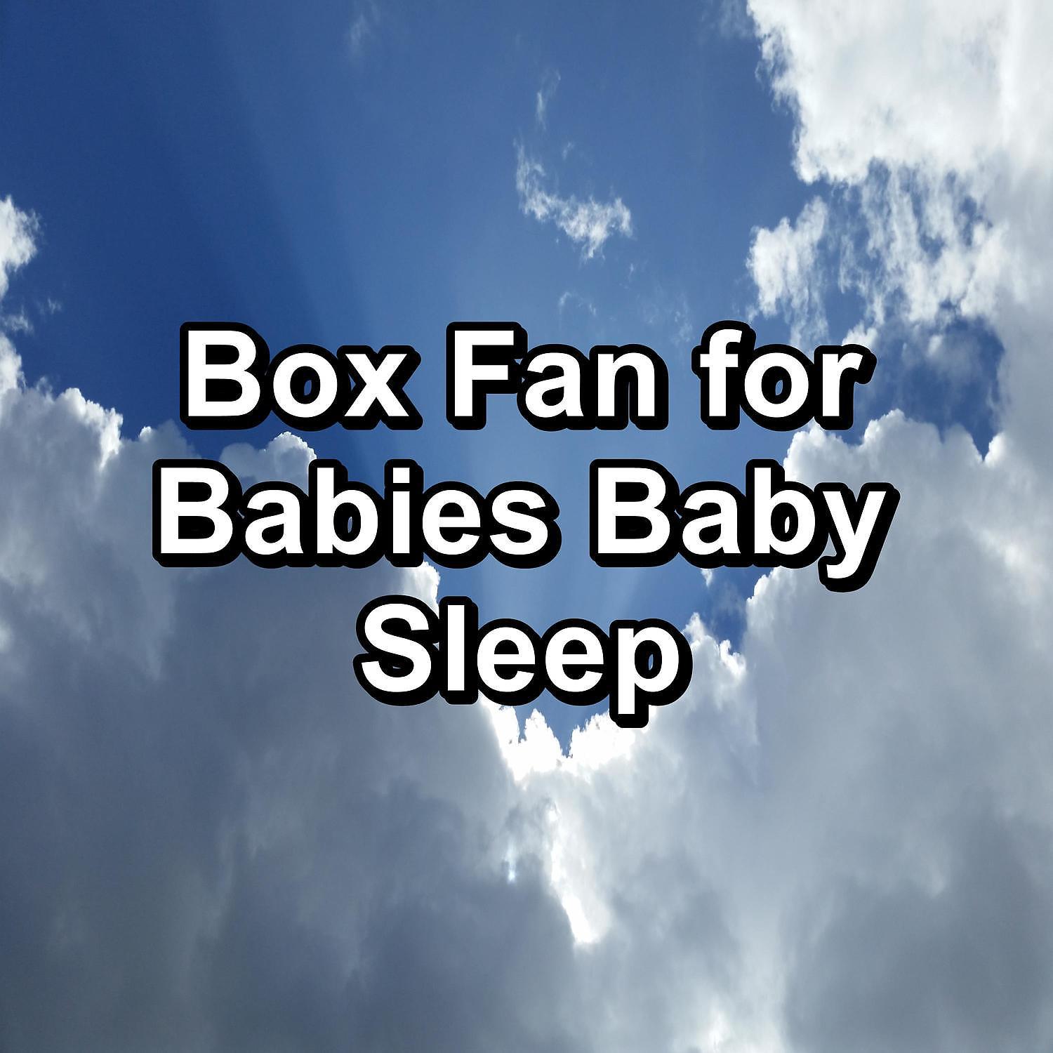 Постер альбома Box Fan for Babies Baby Sleep