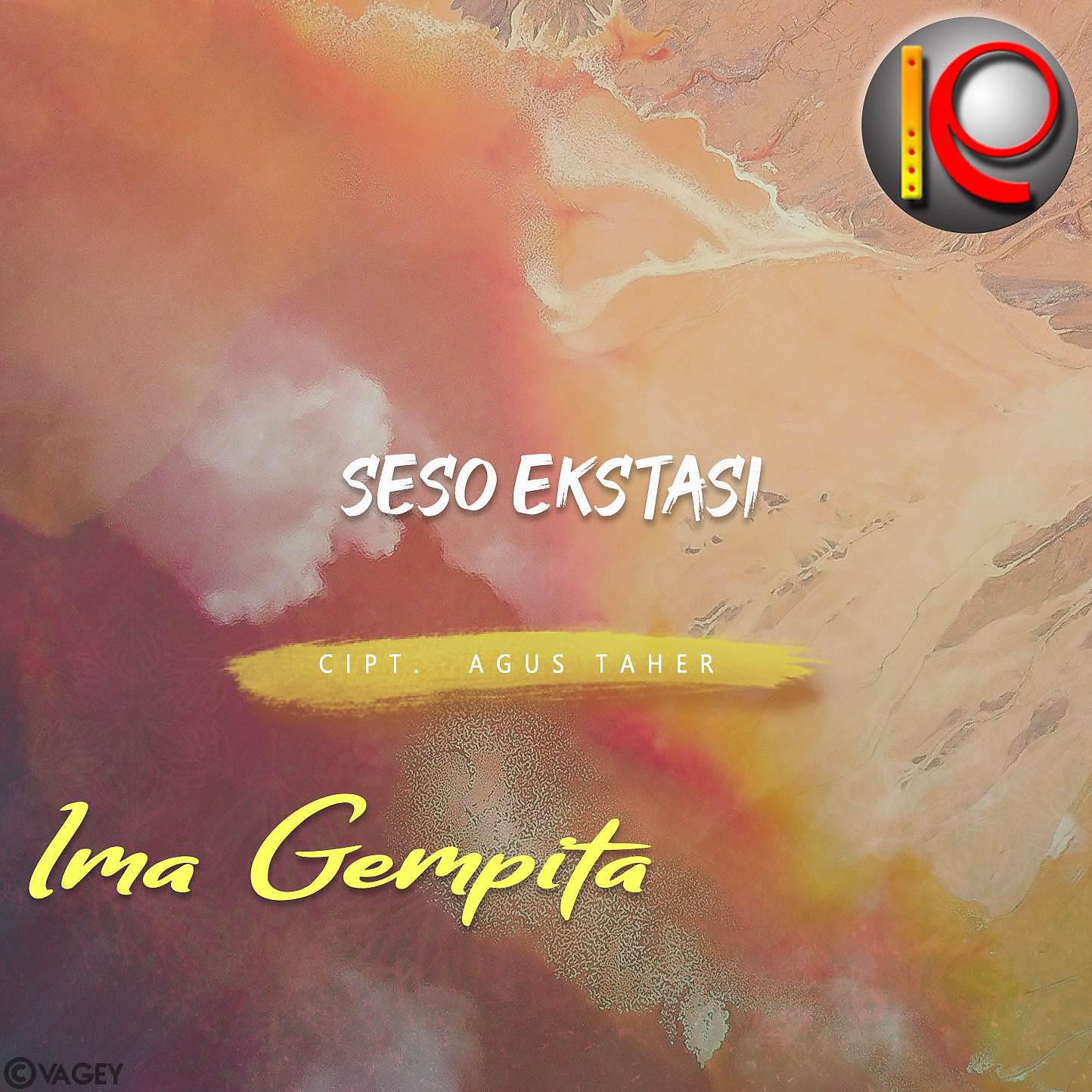 Постер альбома Seso Ekstasi