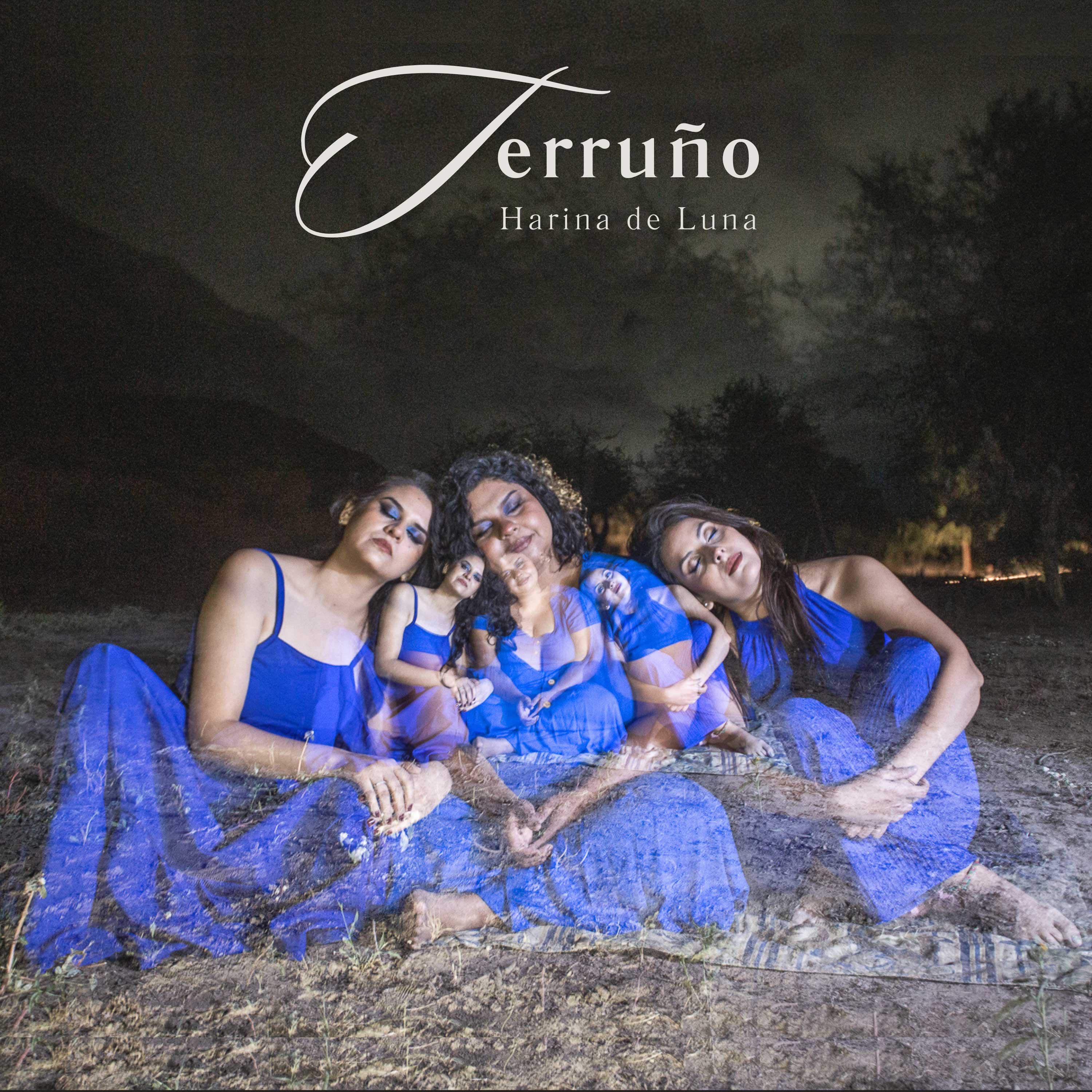 Постер альбома Terruño