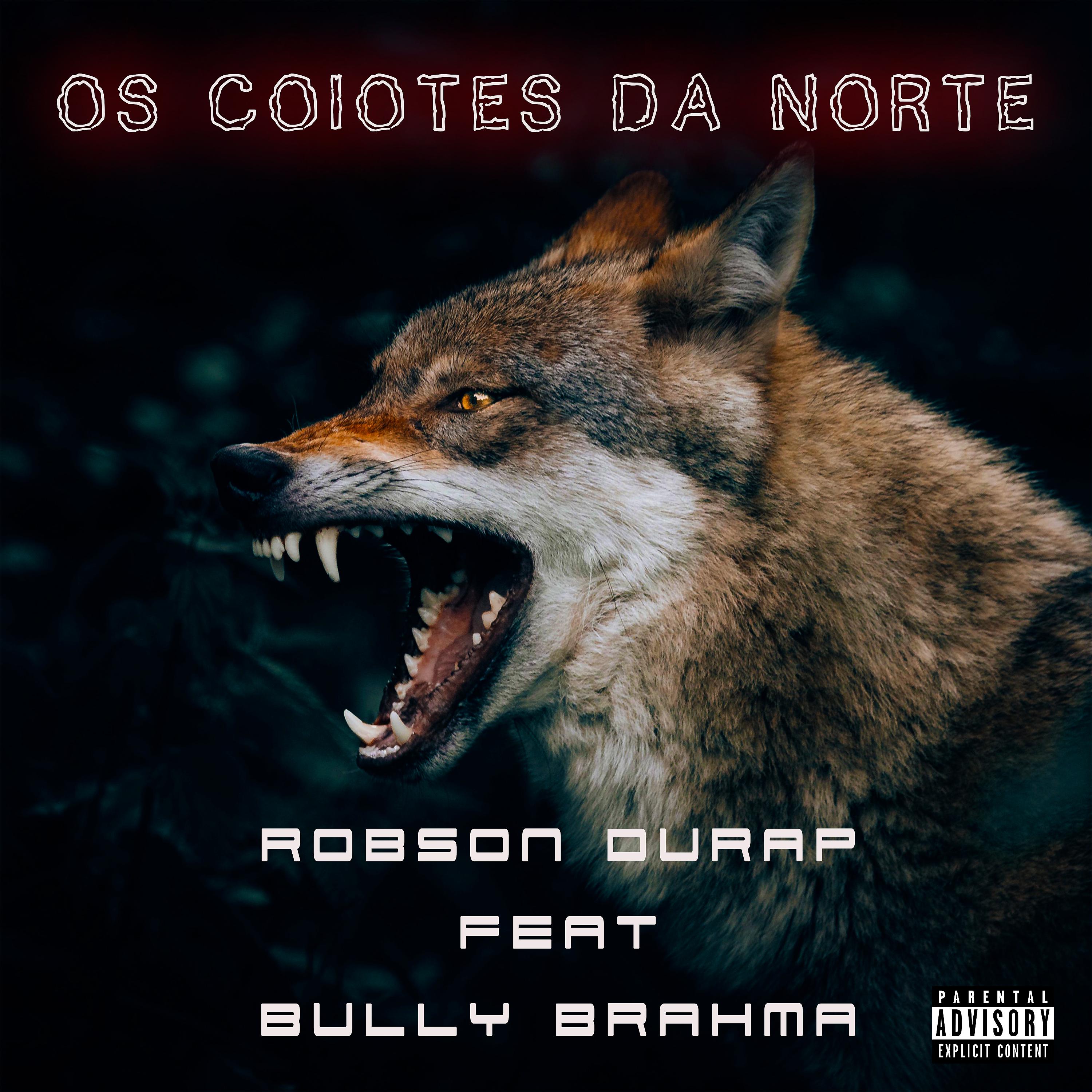 Постер альбома Os Coiotes da Norte