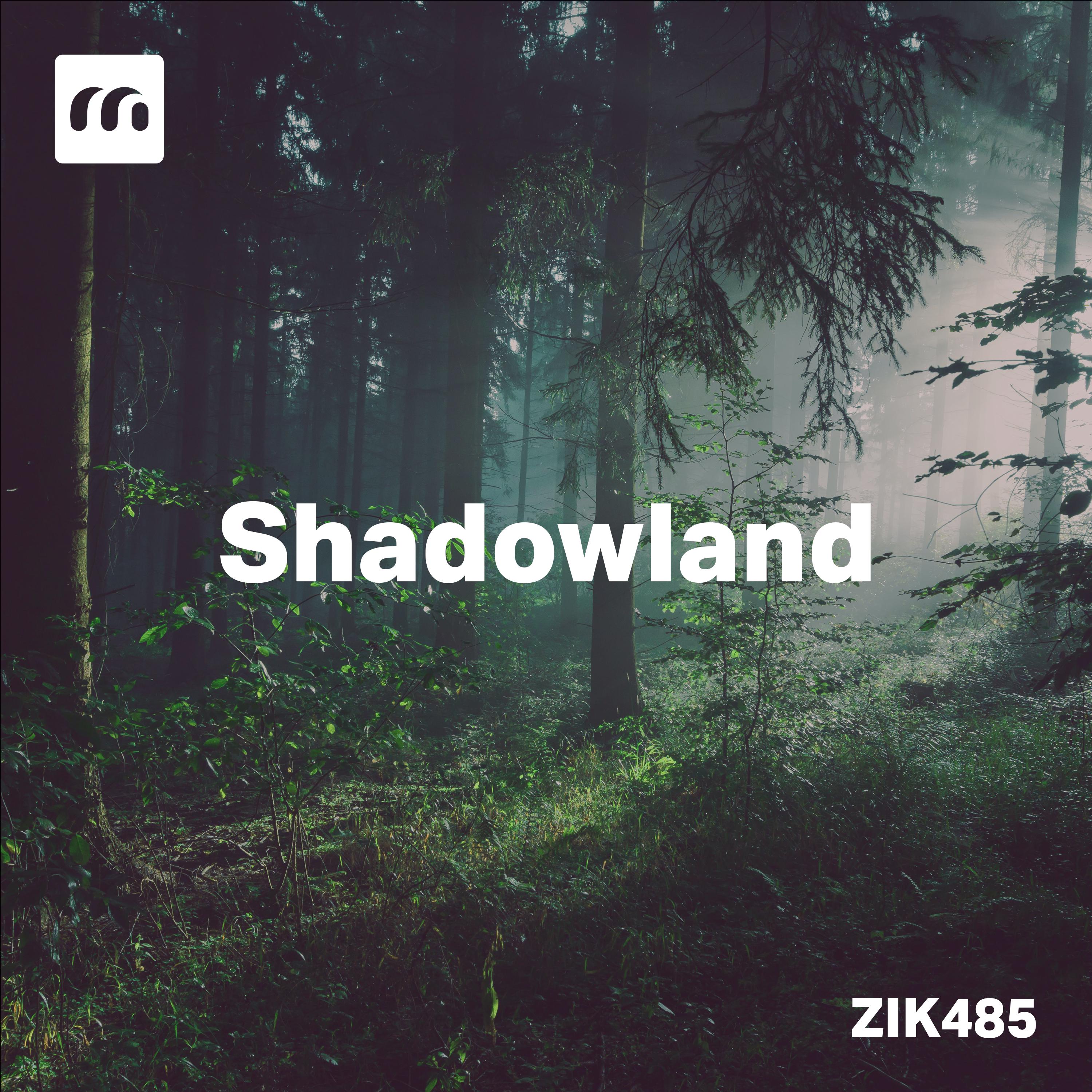 Постер альбома Shadowland