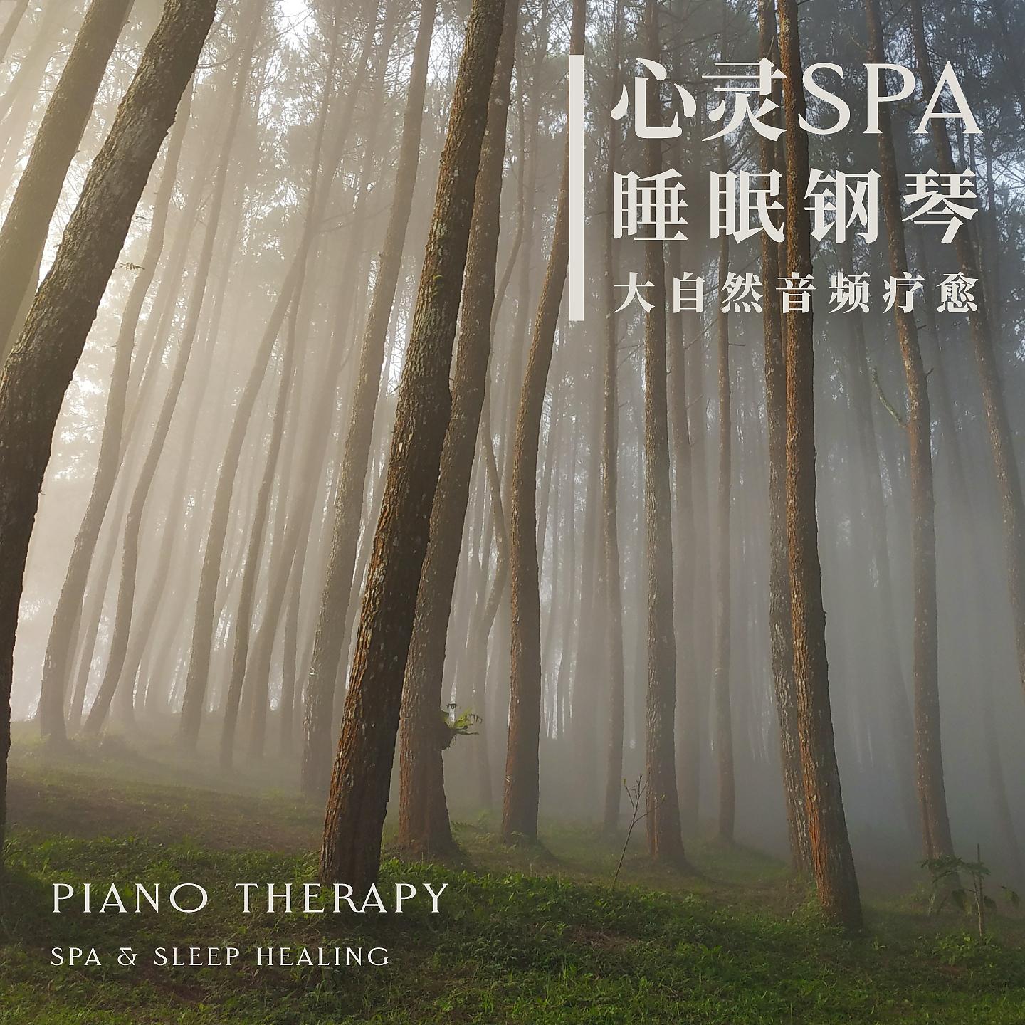Постер альбома Piano Therapy：Spa & Sleep Healing