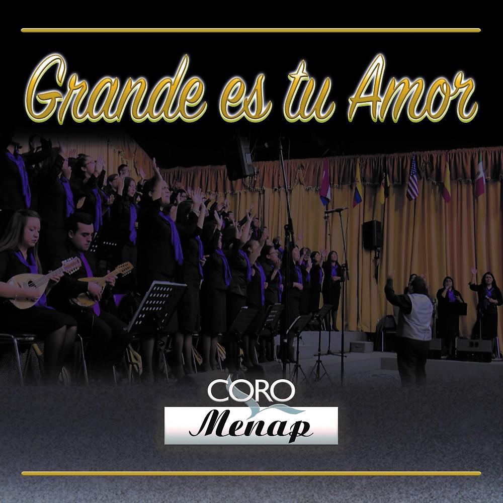 Постер альбома Grande Es Tu Amor