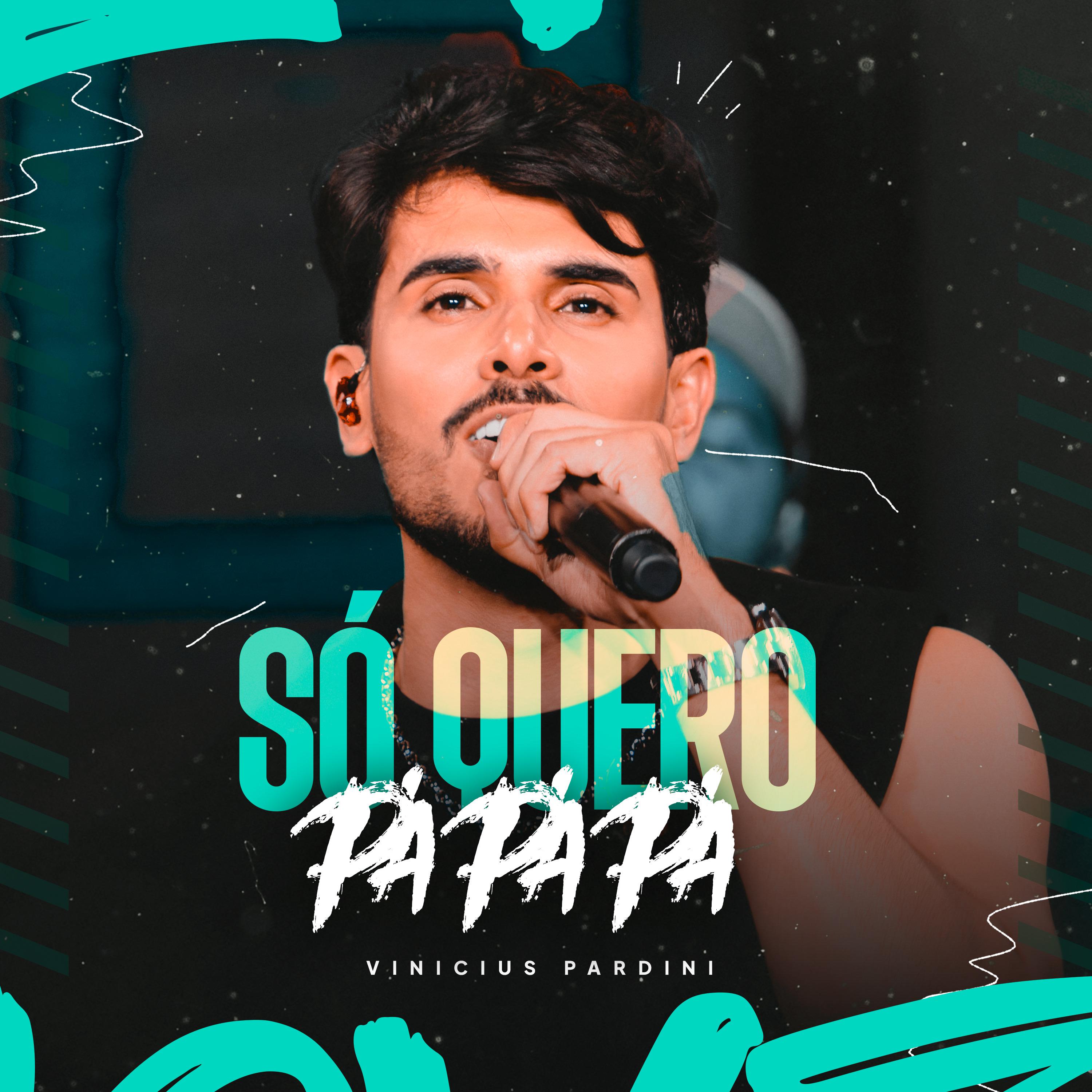 Постер альбома Só Quero Pá Pá Pá