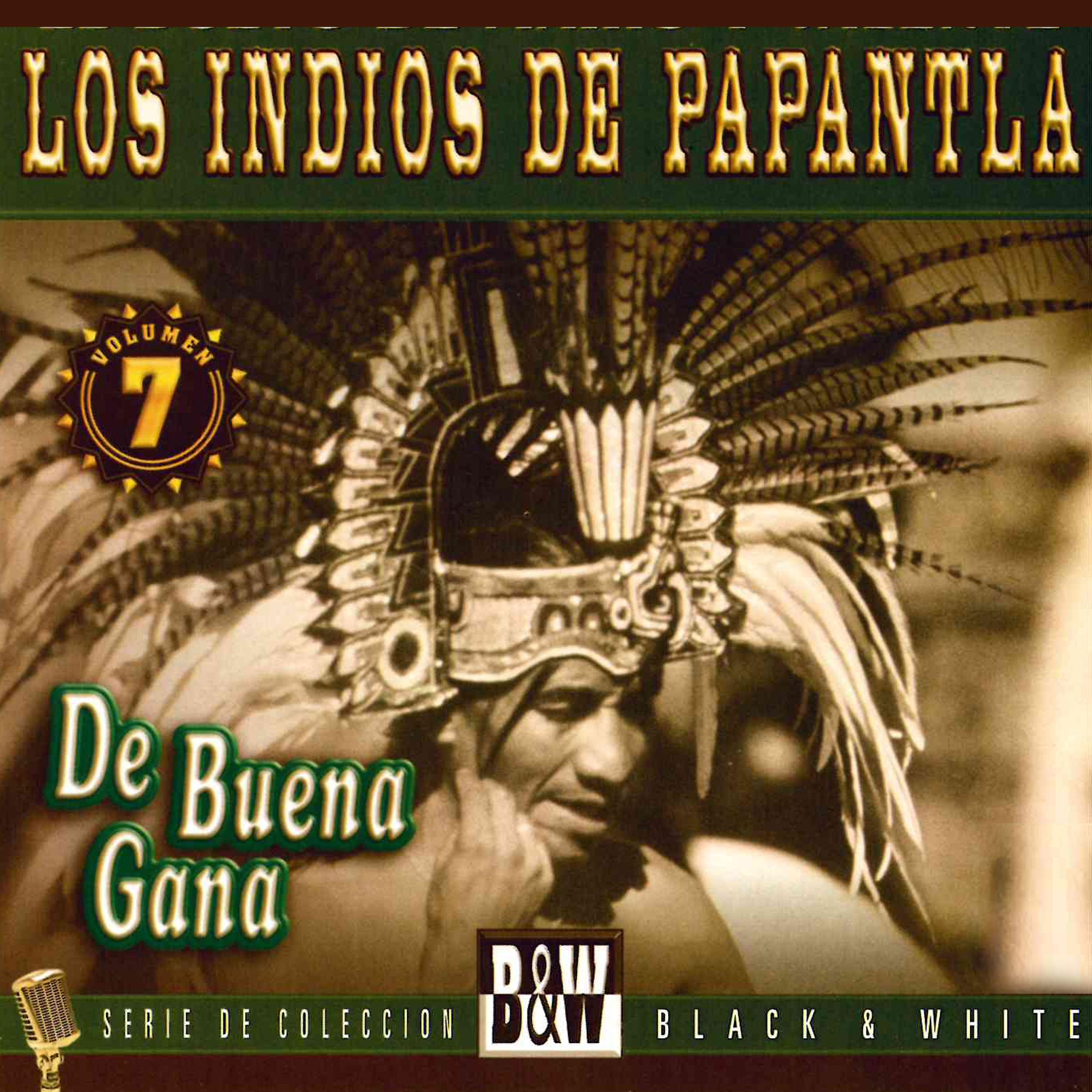Постер альбома De Buena Gana, Vol. 7