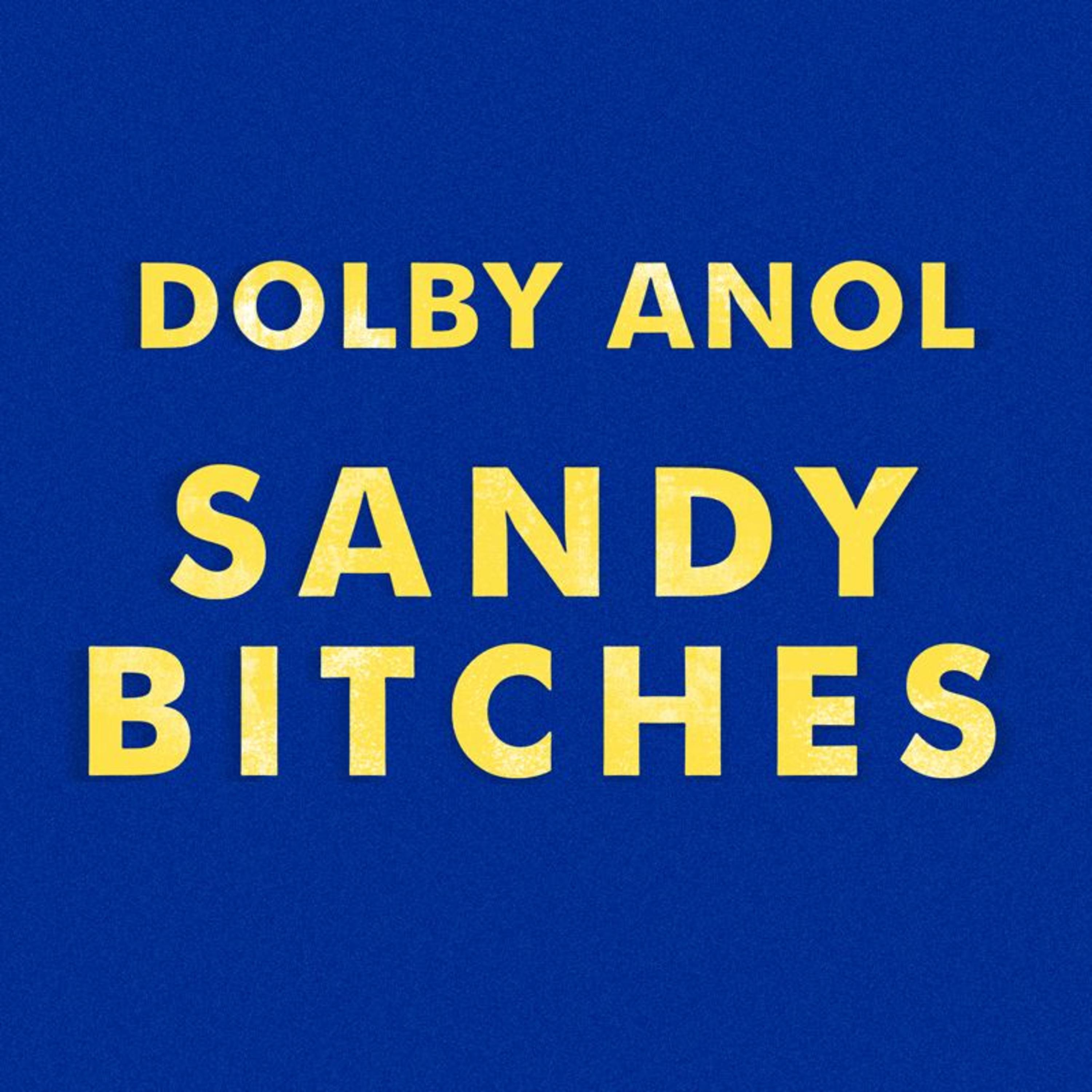 Постер альбома Sandy Bitches