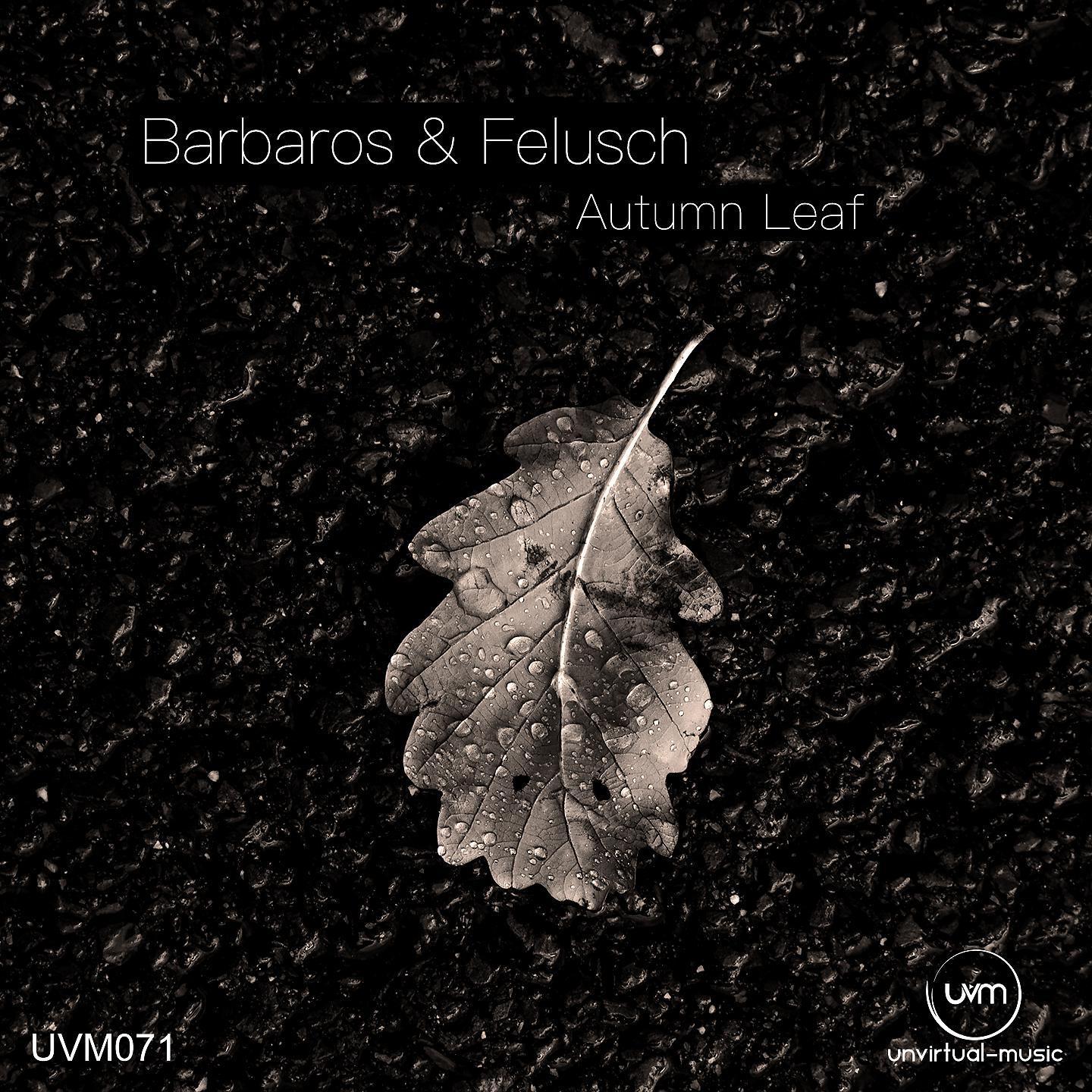 Постер альбома Autumn Leaf