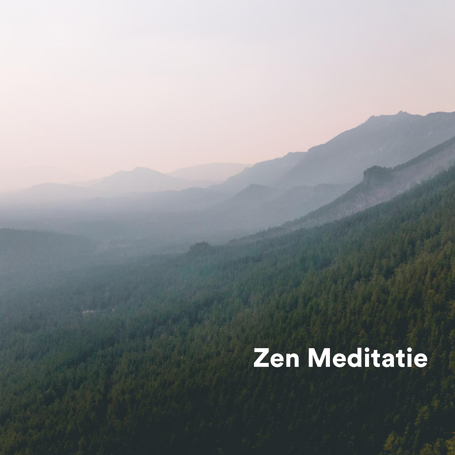 Постер альбома Zen Meditatie