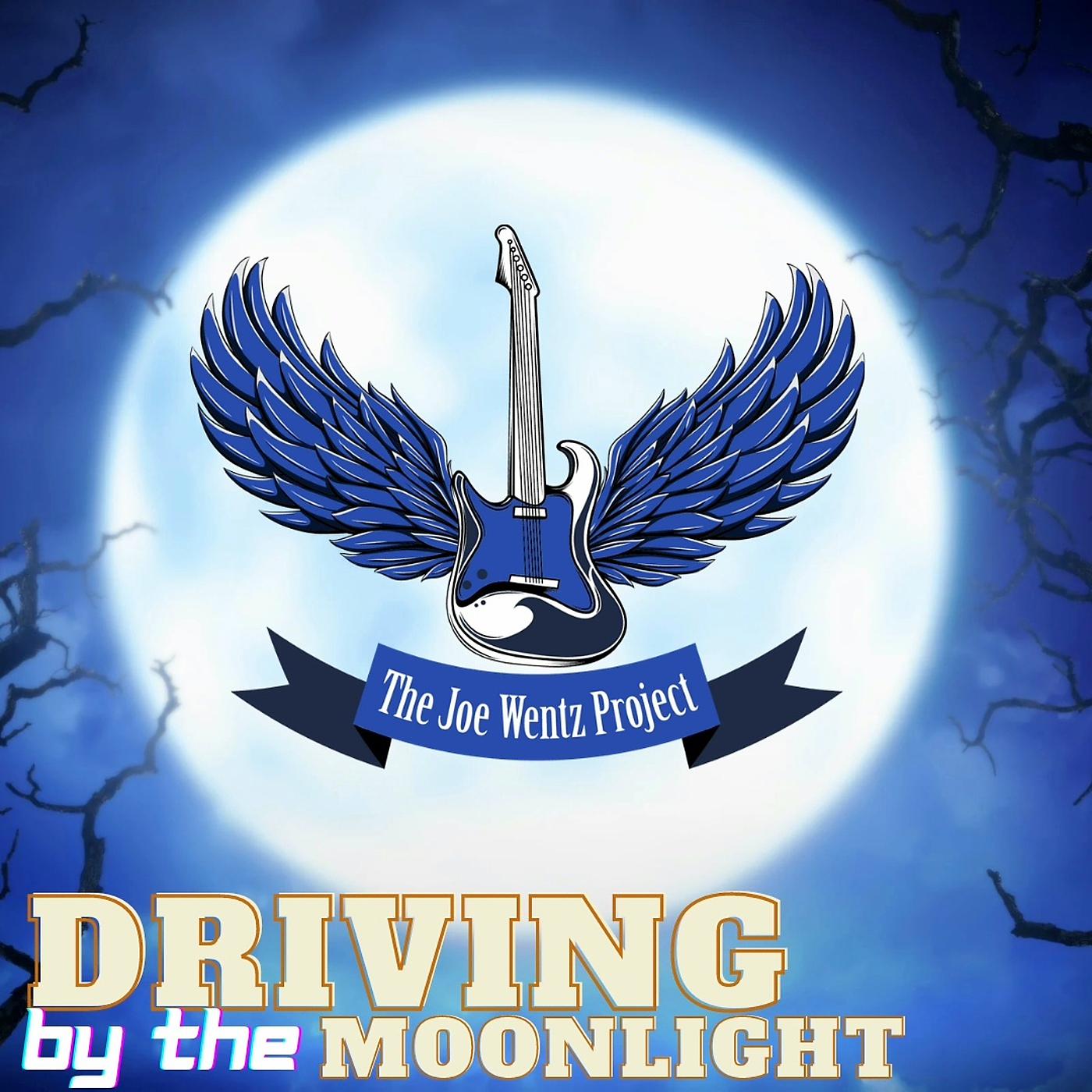 Постер альбома Driving by the Moonlight